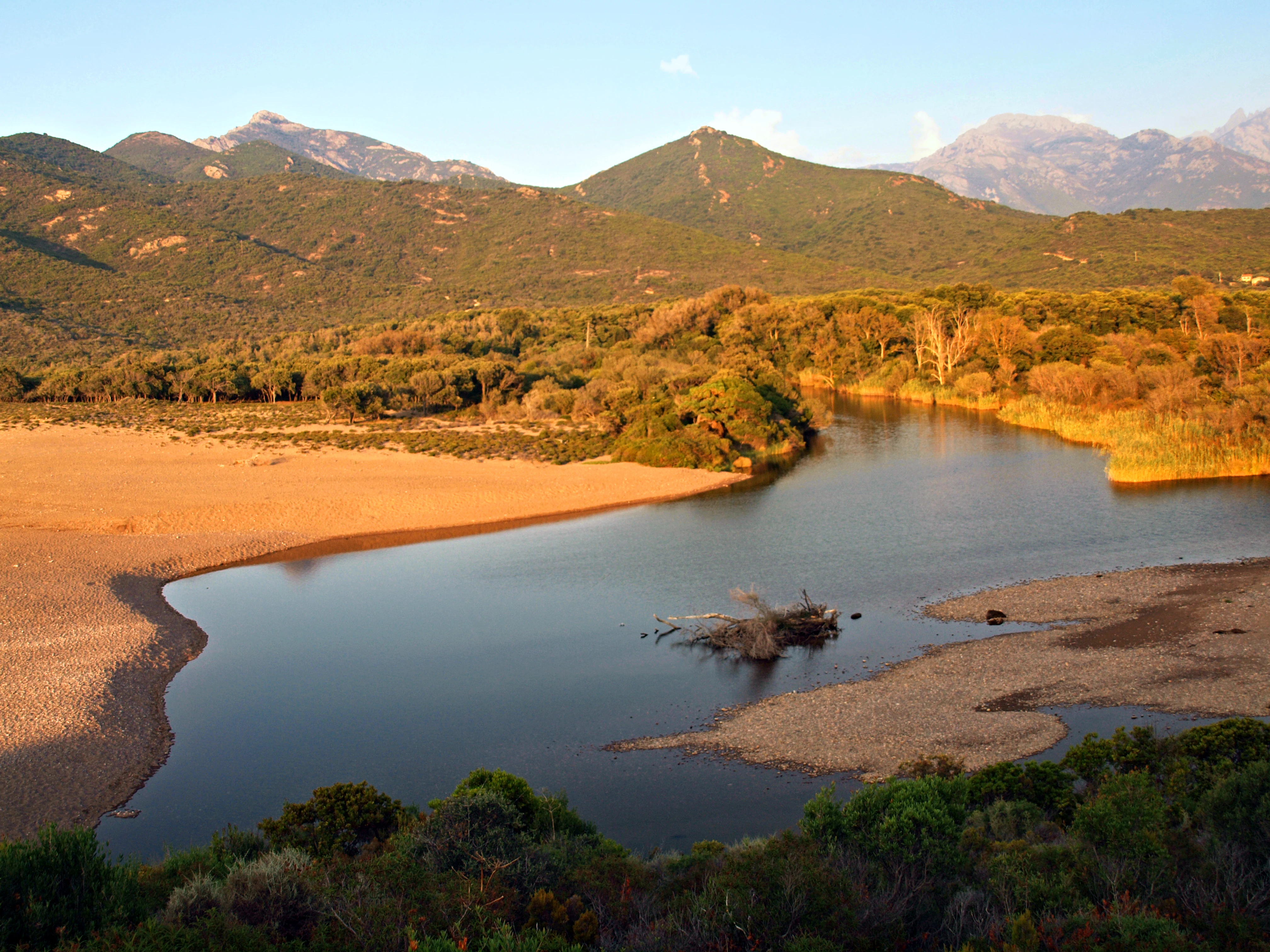 An elevated view of the Fango River delta featuring calm, dark water flowing toward the Mediterranean coast, surrounded by sandy banks, dense Mediterranean vegetation, and distant mountain ranges under warm golden hour light.