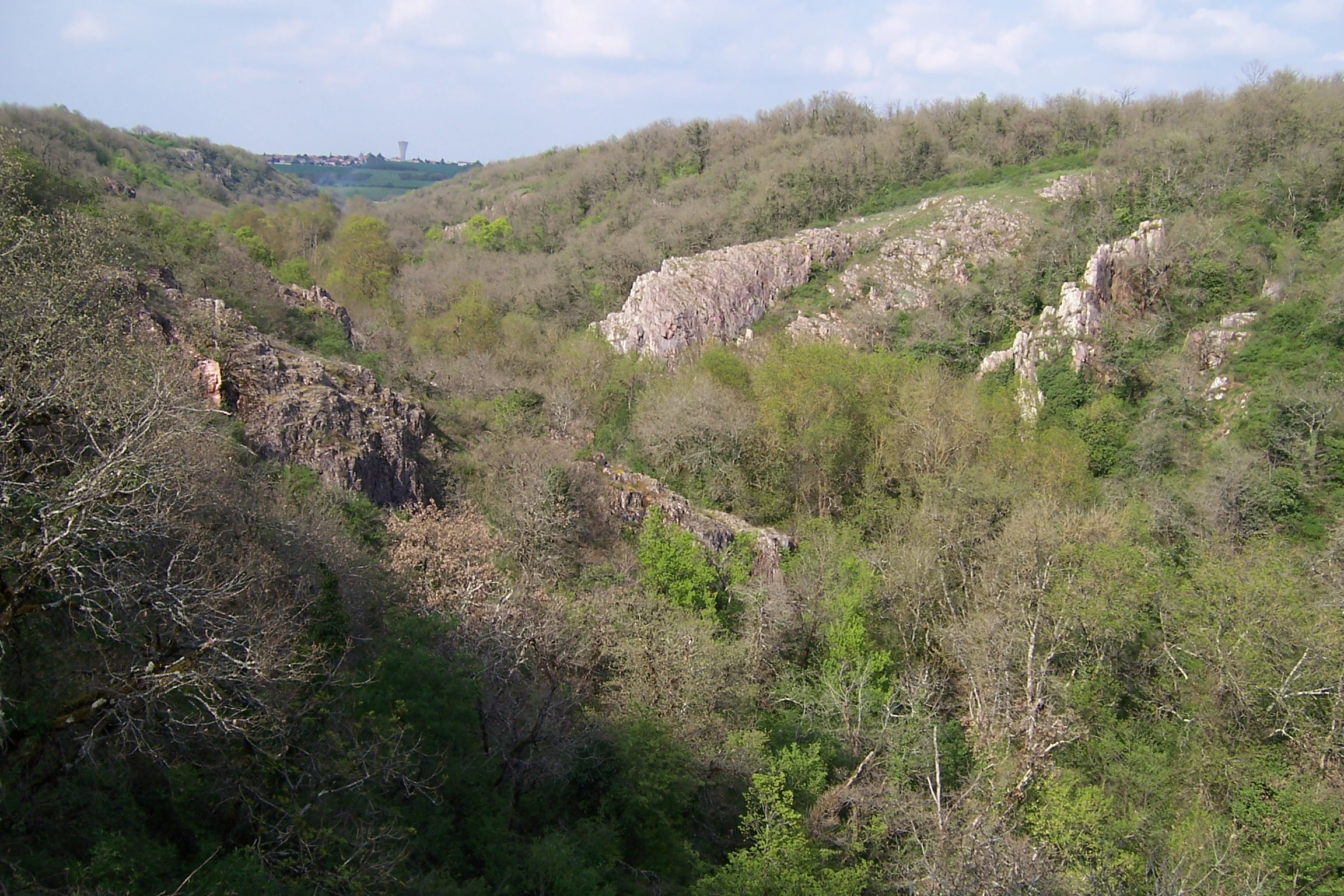 A valley landscape featuring wooded slopes, green foliage, and jagged limestone rock formations under a cloudy sky.