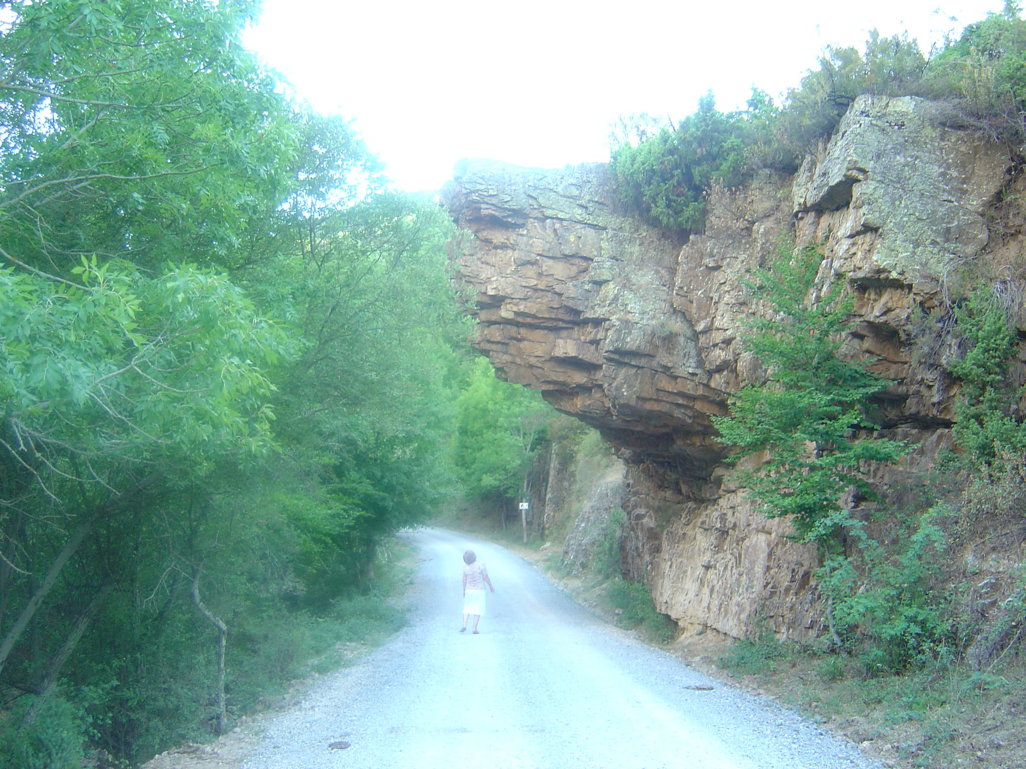 A person walks on a gravel path beneath a large, protruding rock ledge surrounded by green trees.