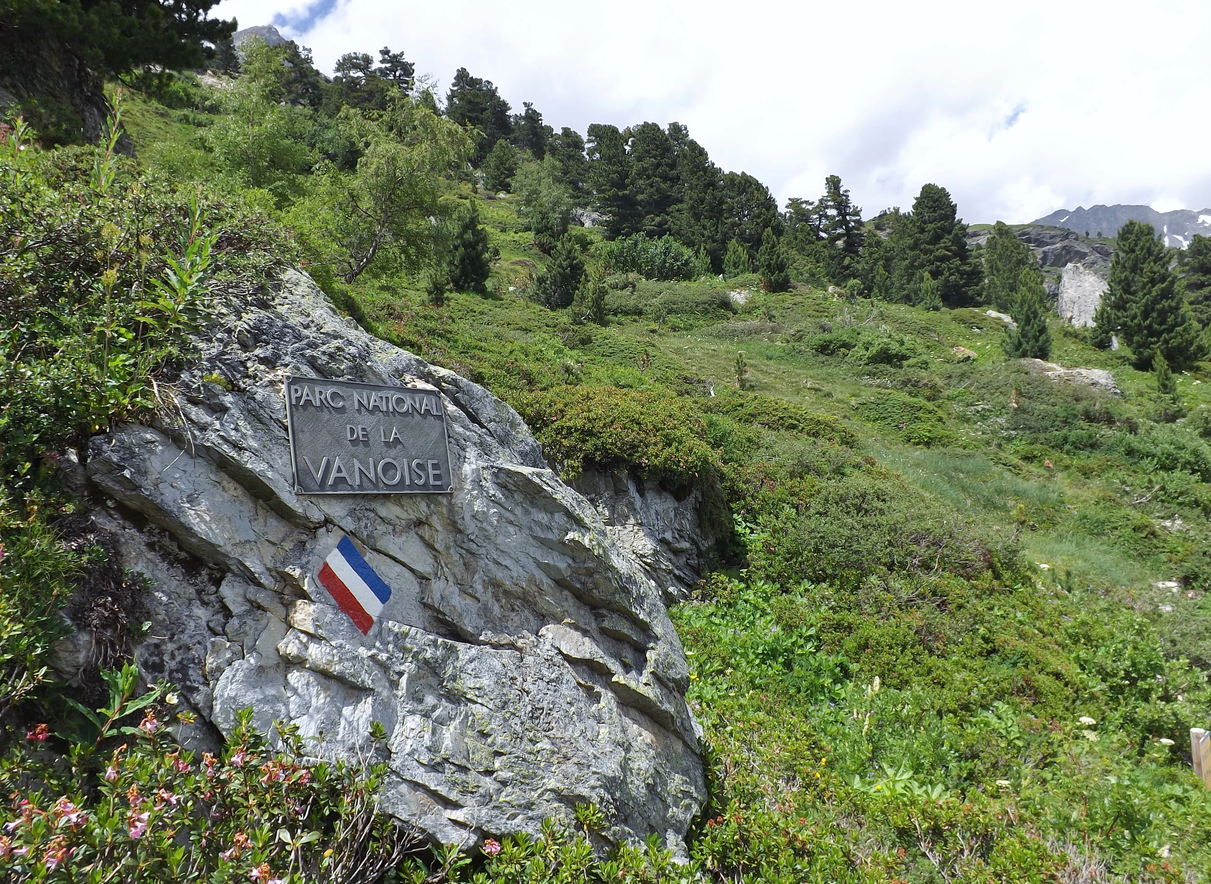 Rock with sign reading PARC NATIONAL DE LA VANOISE and French flag, surrounded by green alpine vegetation