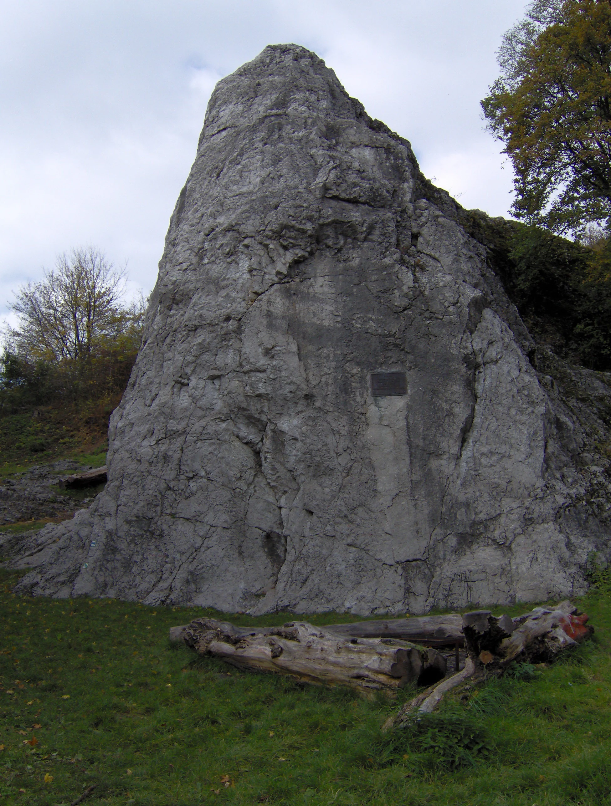A large, weathered gray limestone rock tower rising from a grassy clearing, with trees in the background.