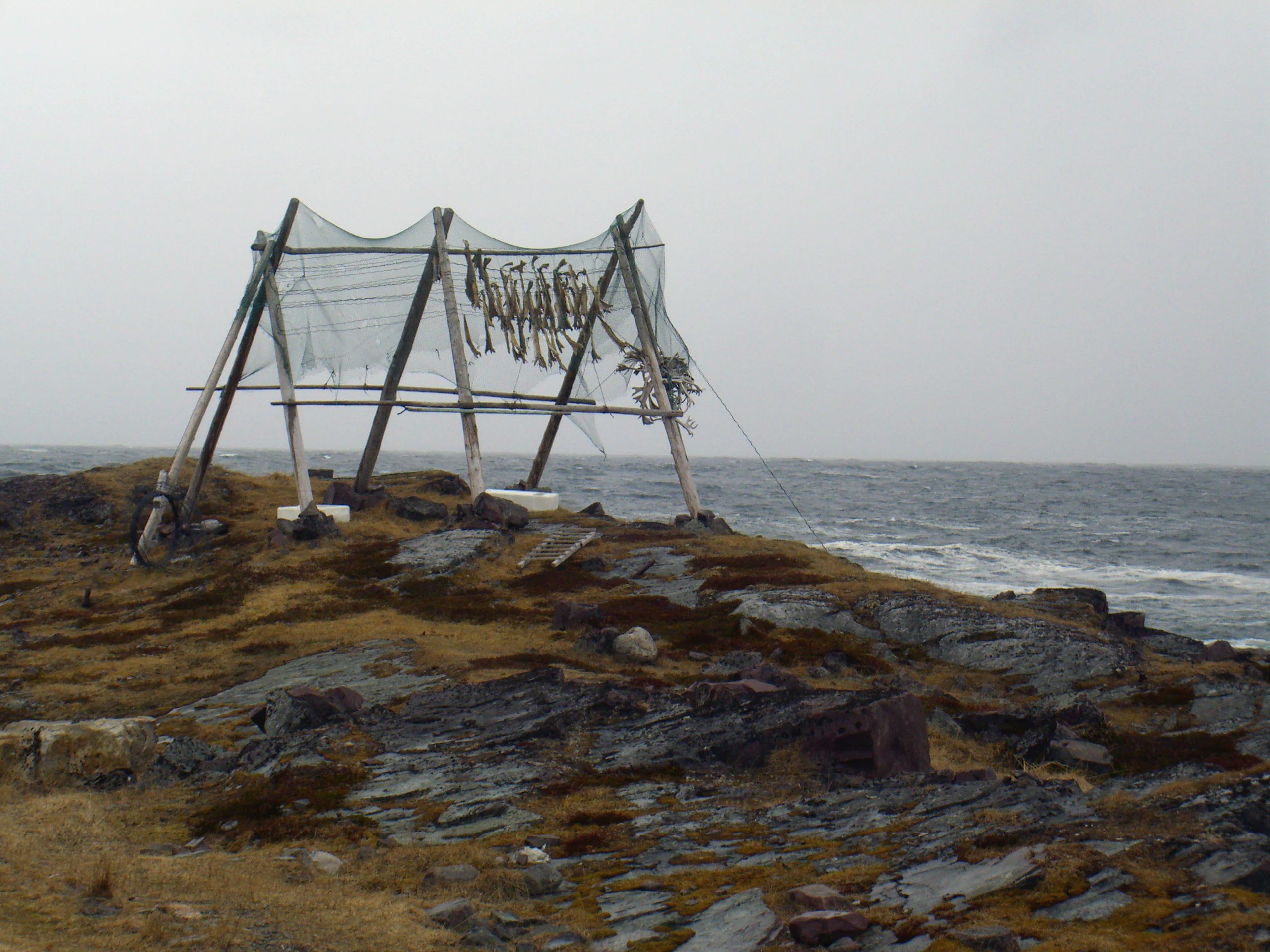 Wooden drying racks with nets holding fish on a rocky coastal area with the sea in the background