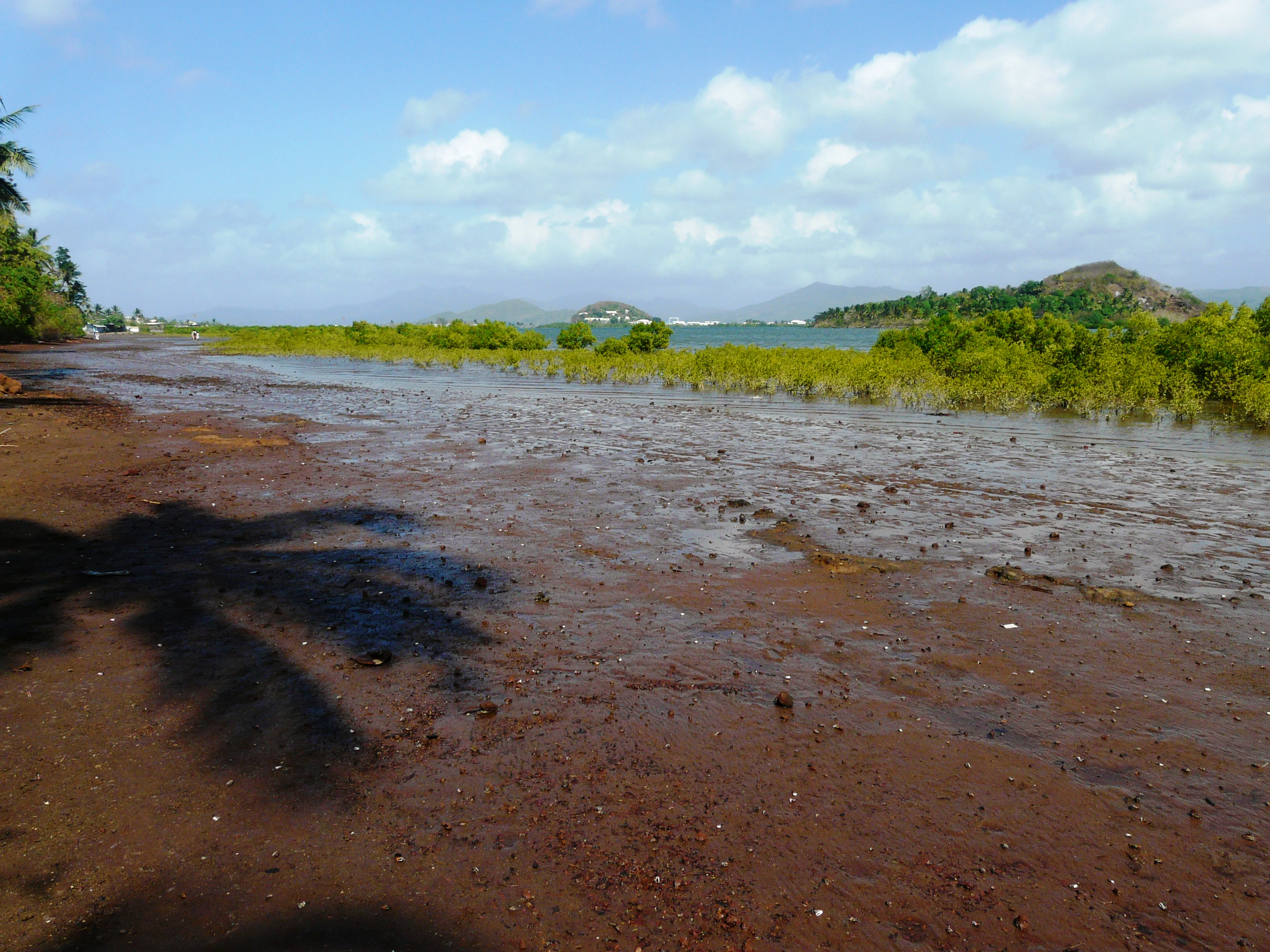 A wide view of a brown mudflat at low tide, with mangroves and distant hills visible across the water under a blue sky.