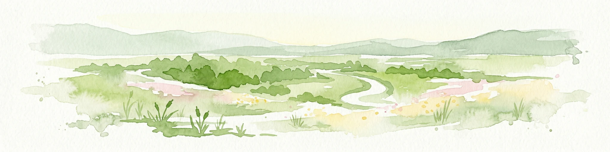 Ilustración de acuarela que muestra un paisaje con campos verdes, un camino sinuoso, flores rosas y montañas al fondo