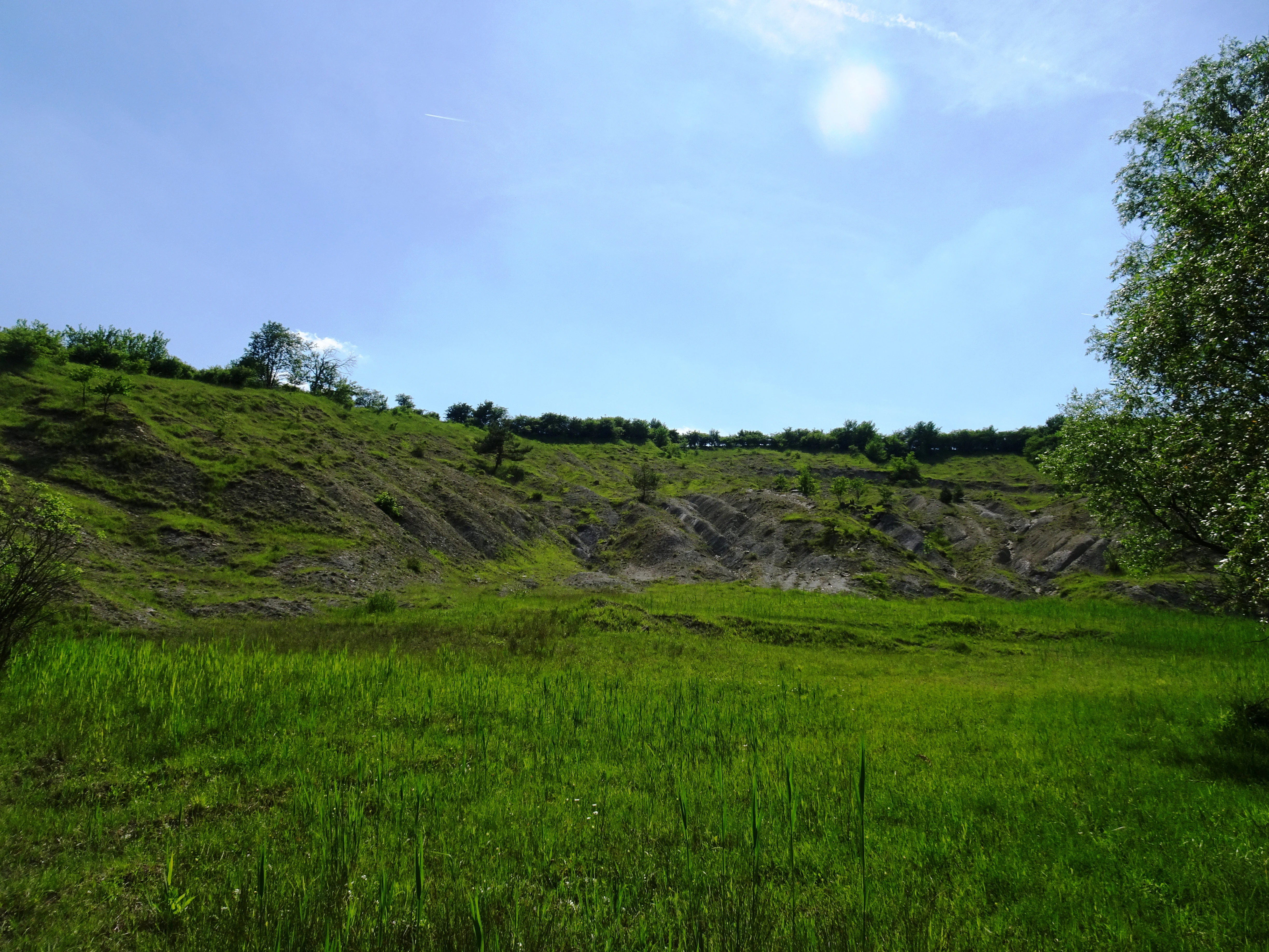 A wide outdoor view of a green grassy basin surrounded by sloping hills of exposed gray clay and sparse vegetation under a bright blue sky.