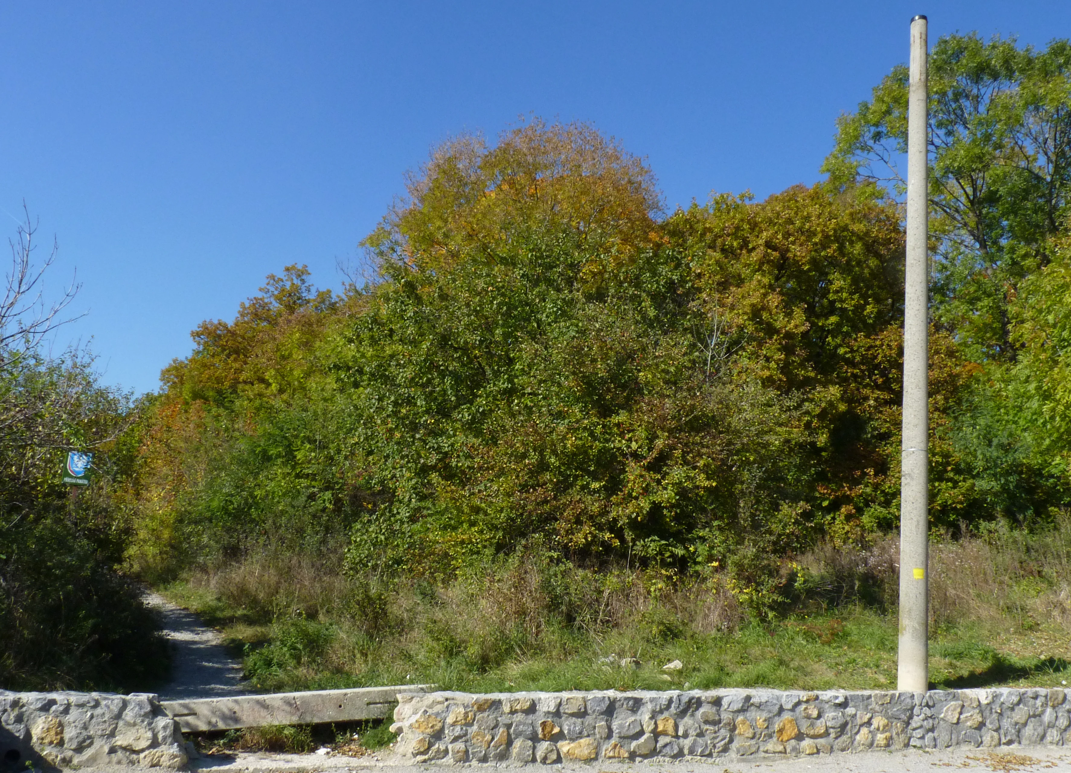 A dirt trail entering a patch of trees at Velka Klajdovka, with a stone wall in the foreground and a concrete utility pole on the right.