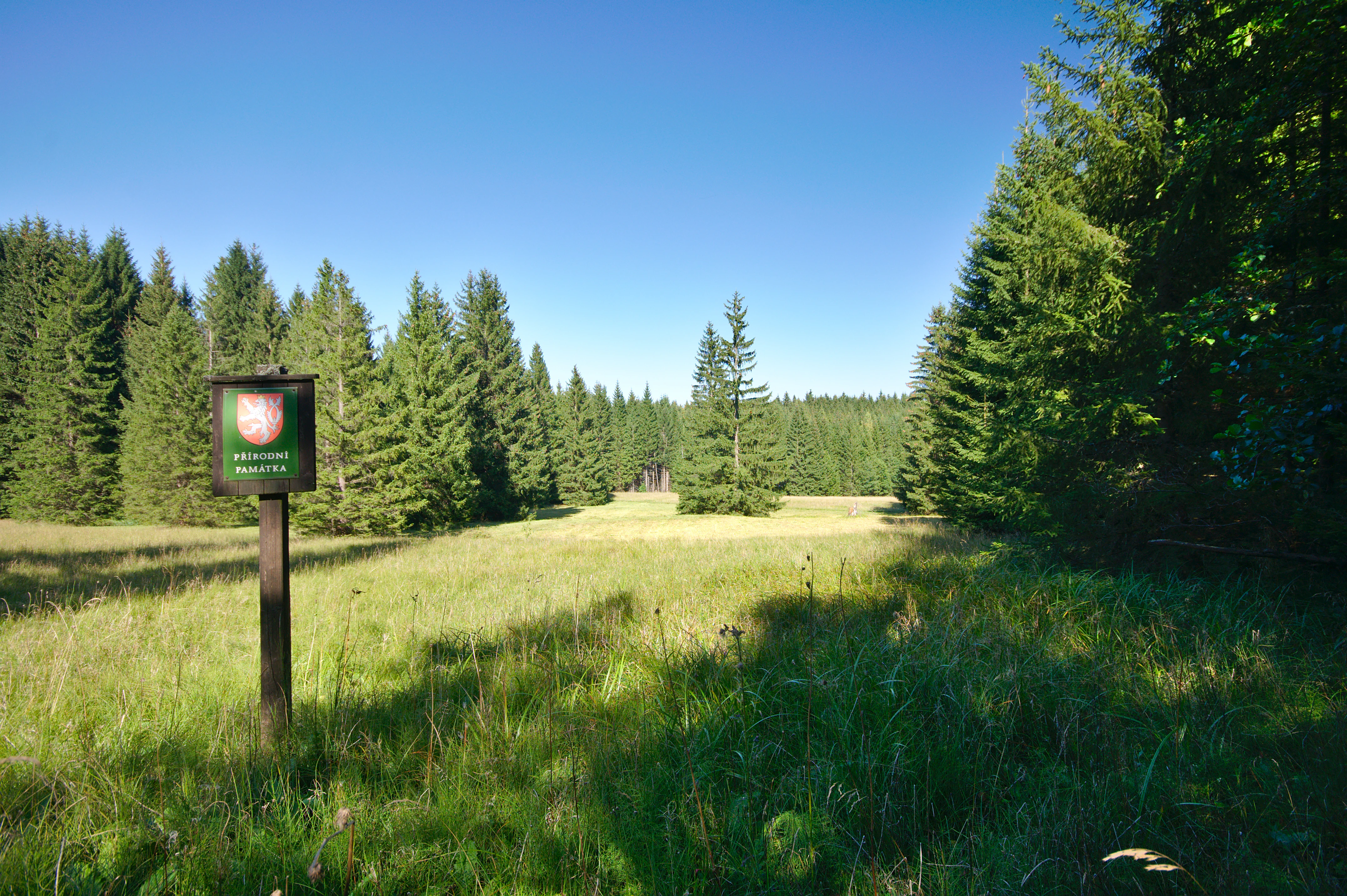 A square sign on a wooden post stands in a grassy meadow, framed by a dense coniferous forest under a clear blue sky.