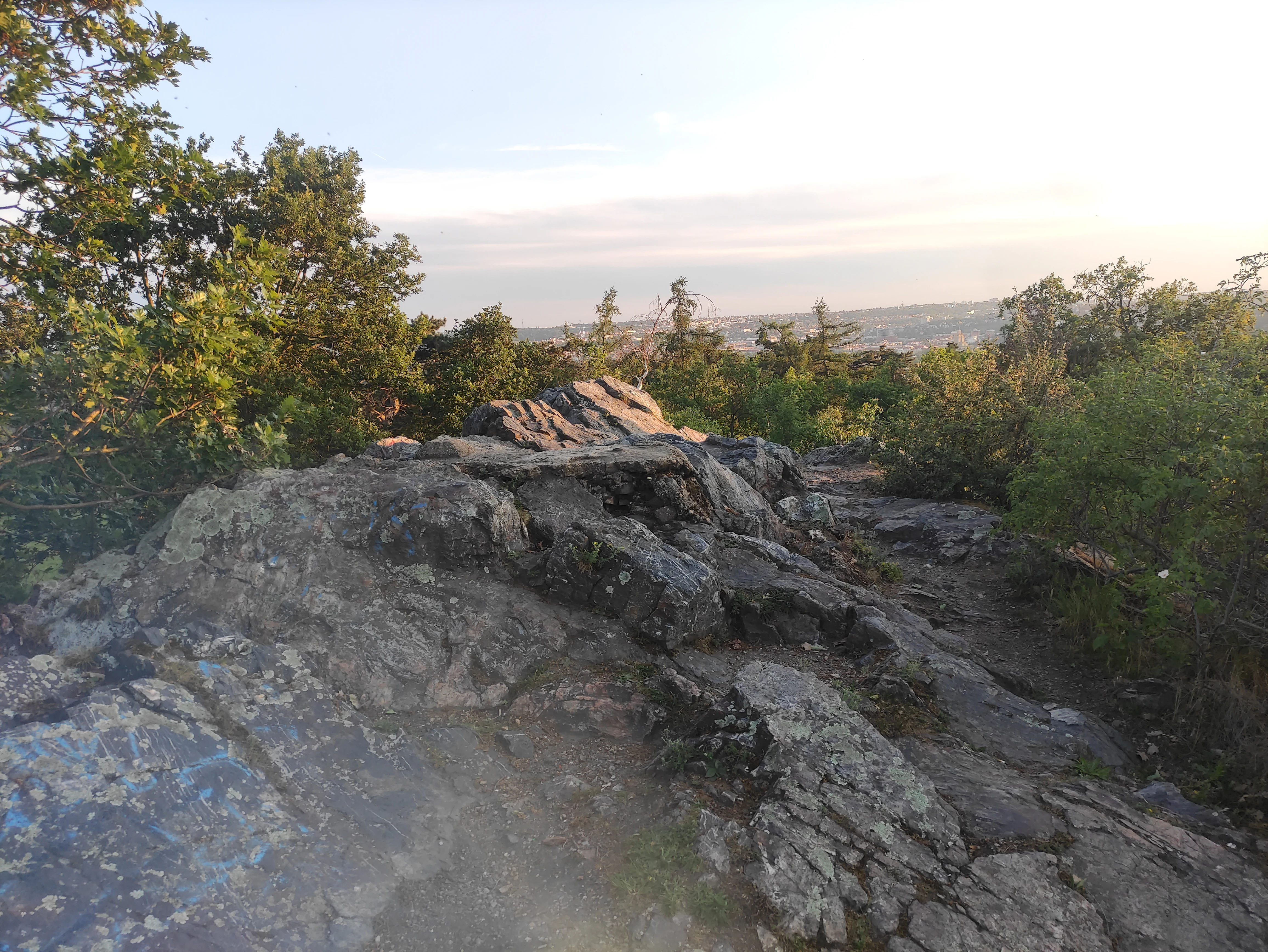 A rocky outcrop at the top of a hill surrounded by trees, with a view of a city in the distance under a pale sky.