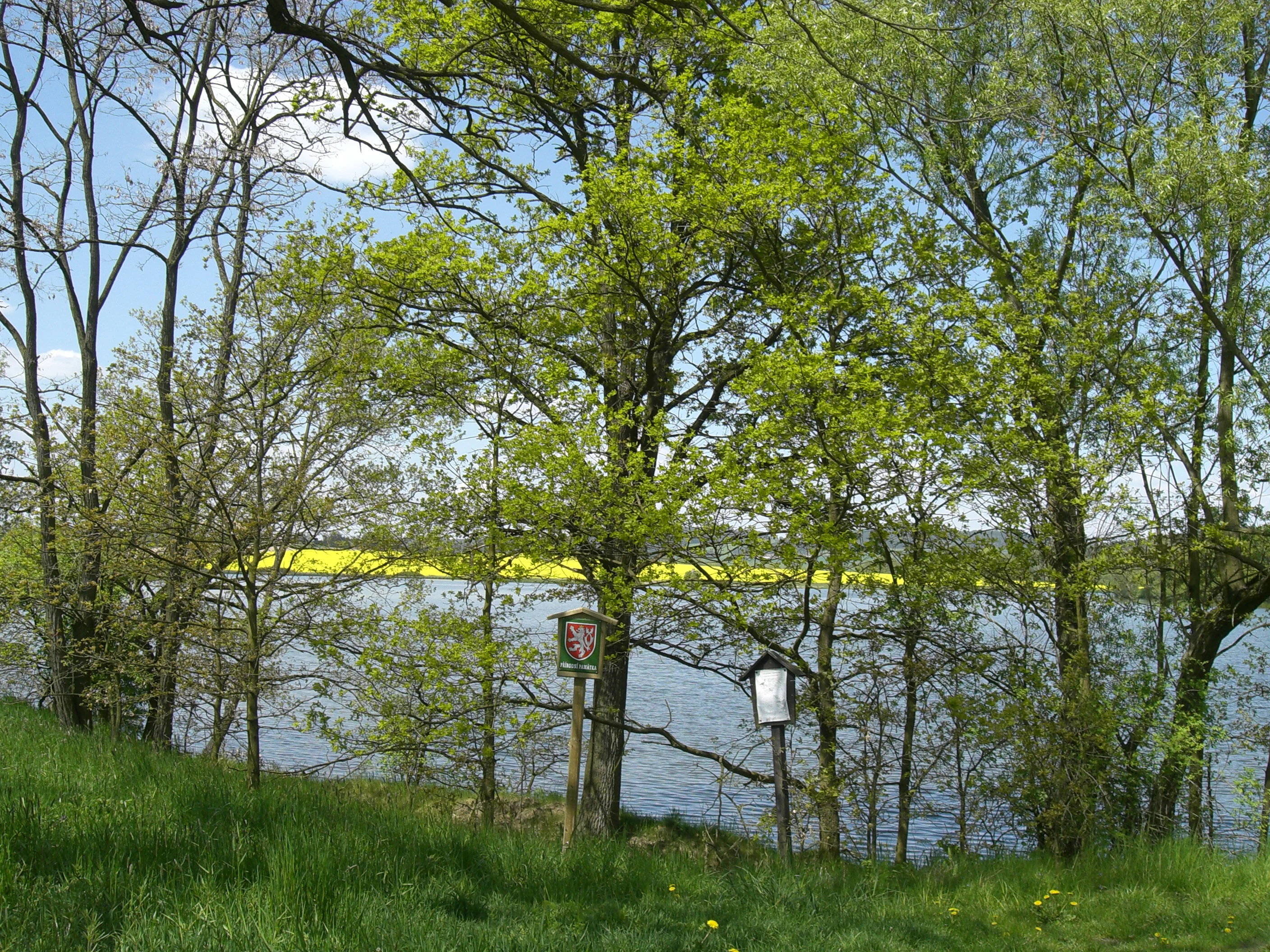 A peaceful lake or pond surrounded by trees with lush green foliage, featuring official protected area signage on wooden posts in the foreground and a field of yellow flowers in the distance.