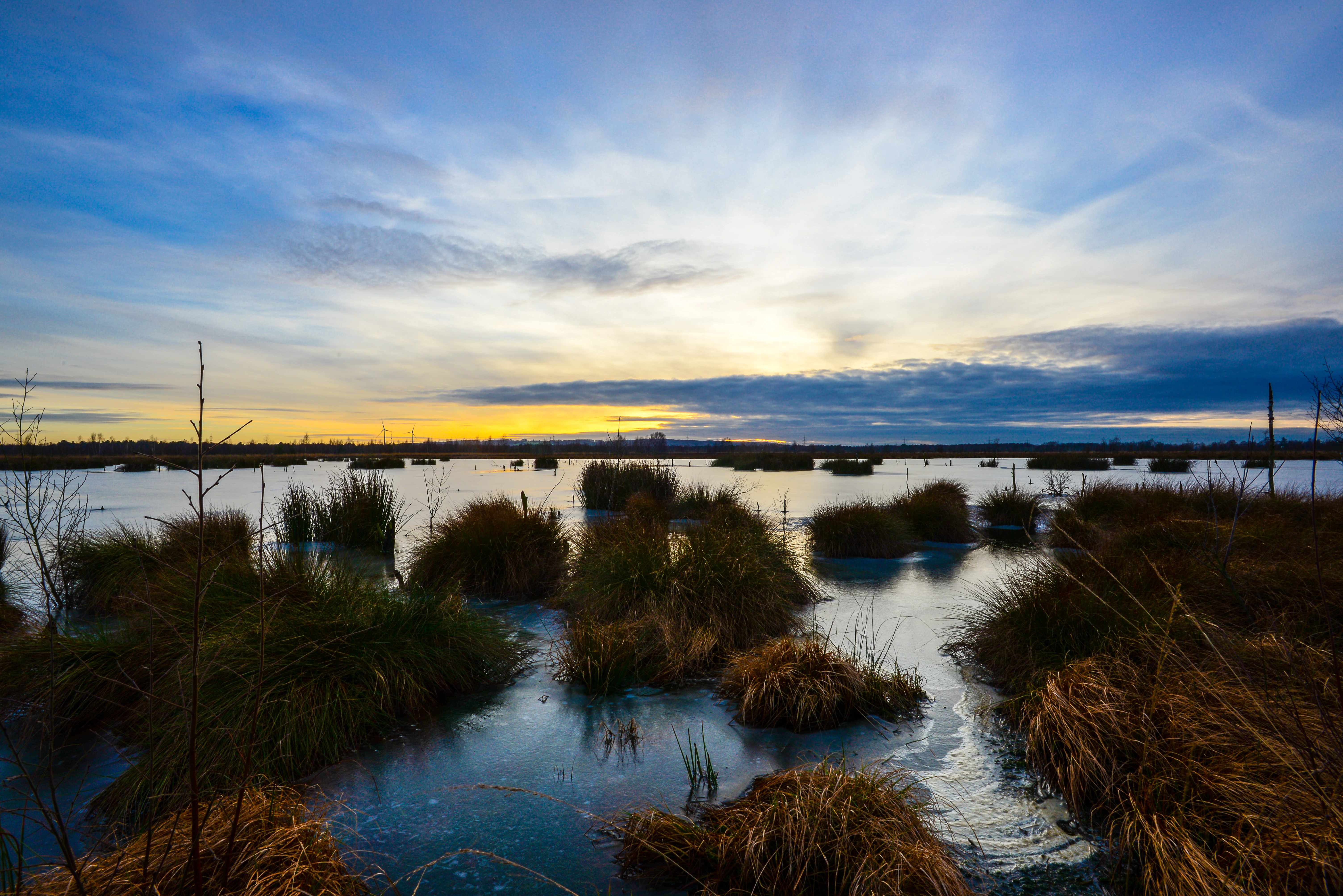 A wide shot of a marshy moorland landscape with clumps of tall grasses and frozen pools reflecting a golden sunset sky.