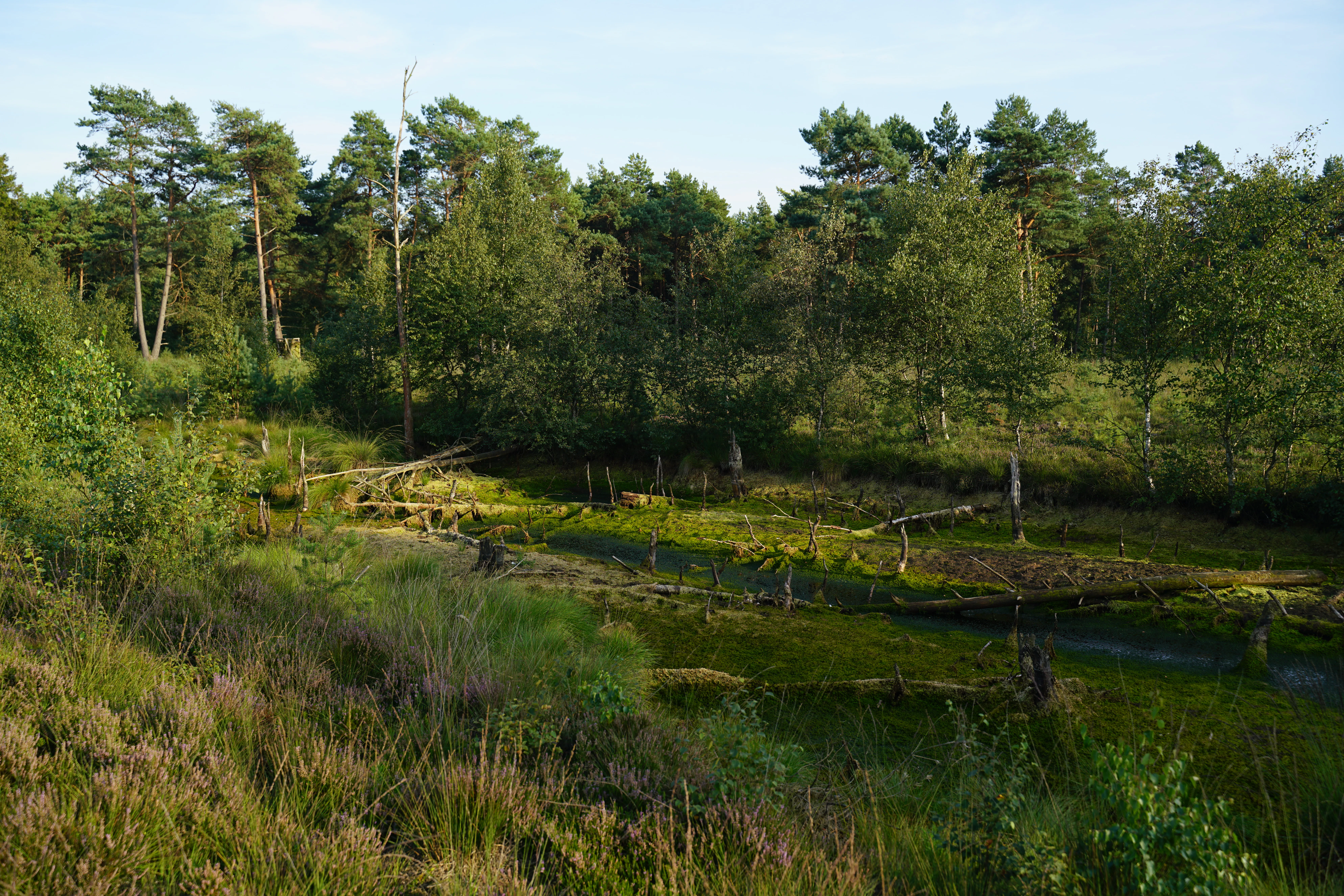 Verdener Moor main drainage ditches