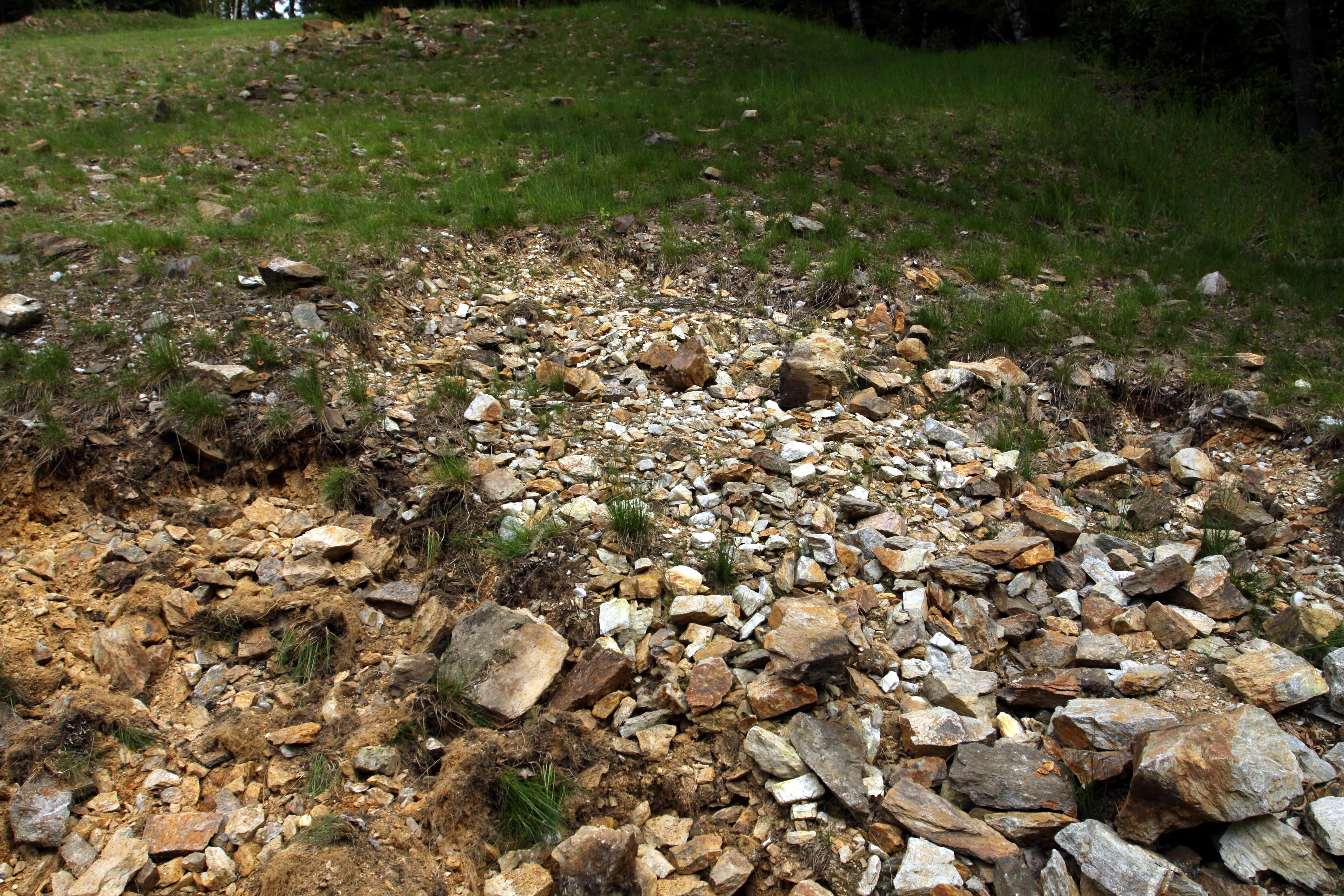 A sloped, rocky ground area covered in scattered pale and brownish stones, showing the historical mining site, with patches of green grass growing among the rocks.