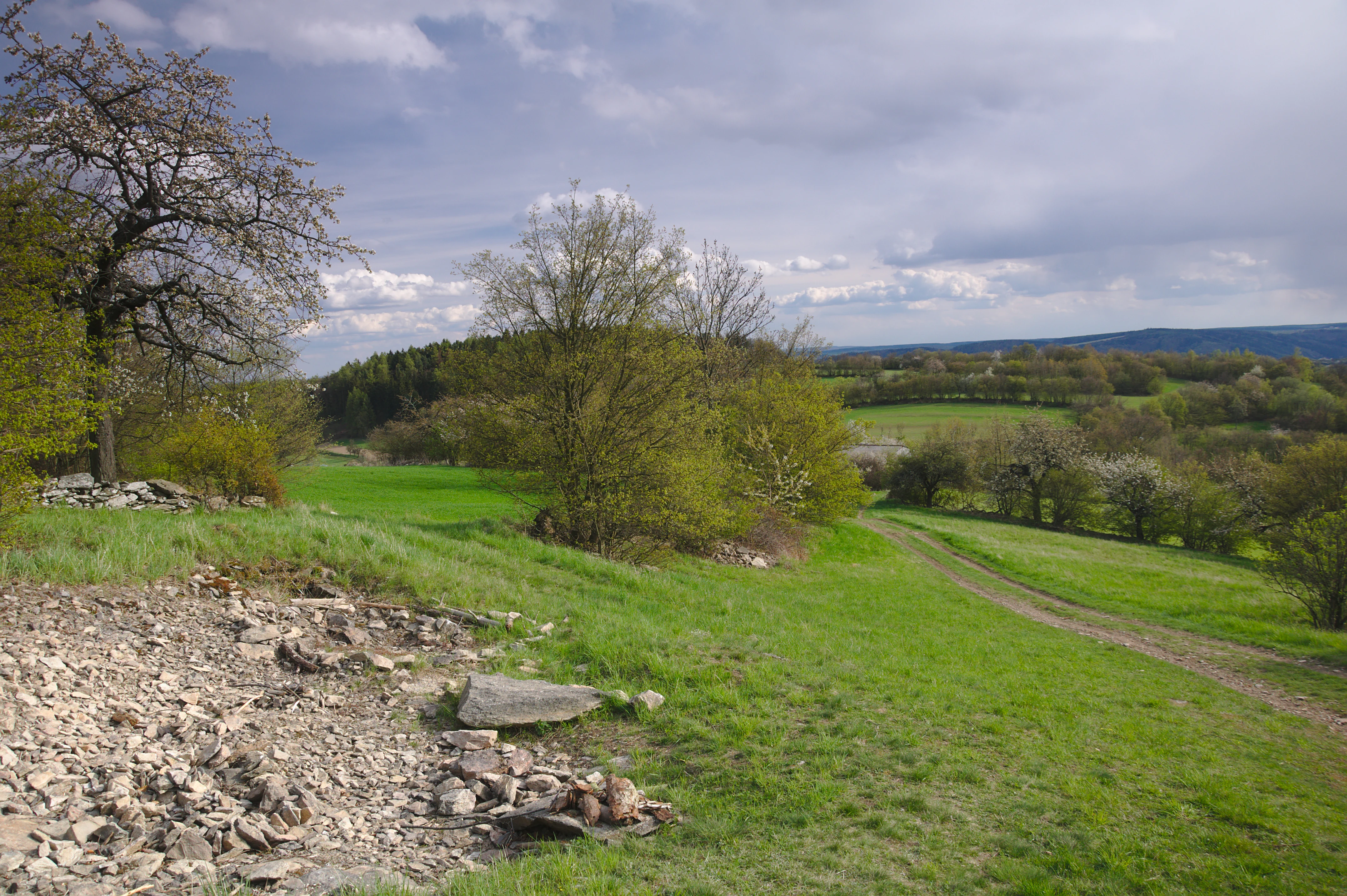 A wide, eye-level shot of a grassy, rolling landscape in the Czech Republic, featuring rocky patches in the foreground, scattered deciduous trees, and a dirt path leading into the rolling hills under a cloudy sky.