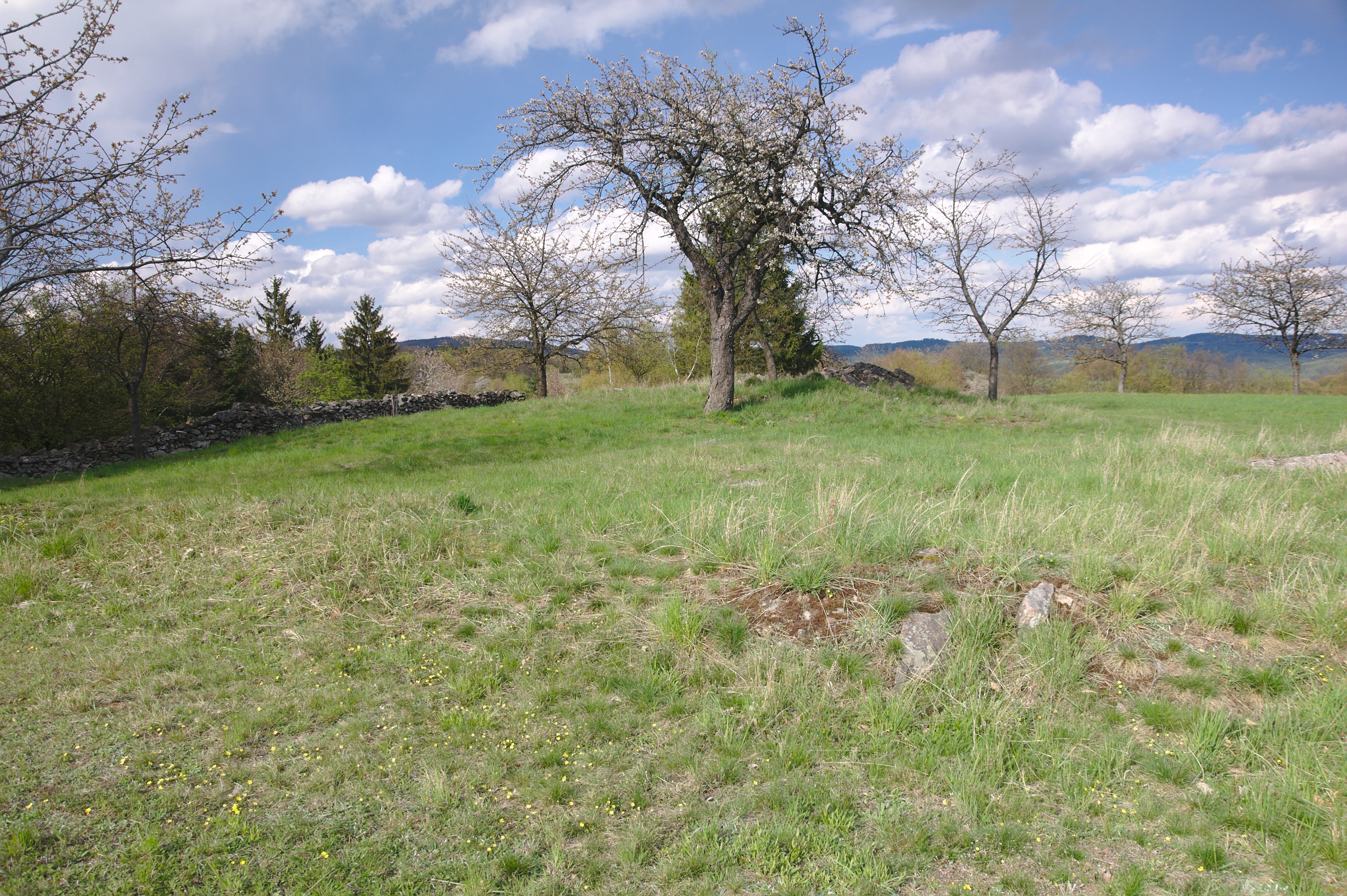 A grassy field with a few mature fruit trees scattered across the meadow, with a stone wall and distant hills visible under a partly cloudy sky.