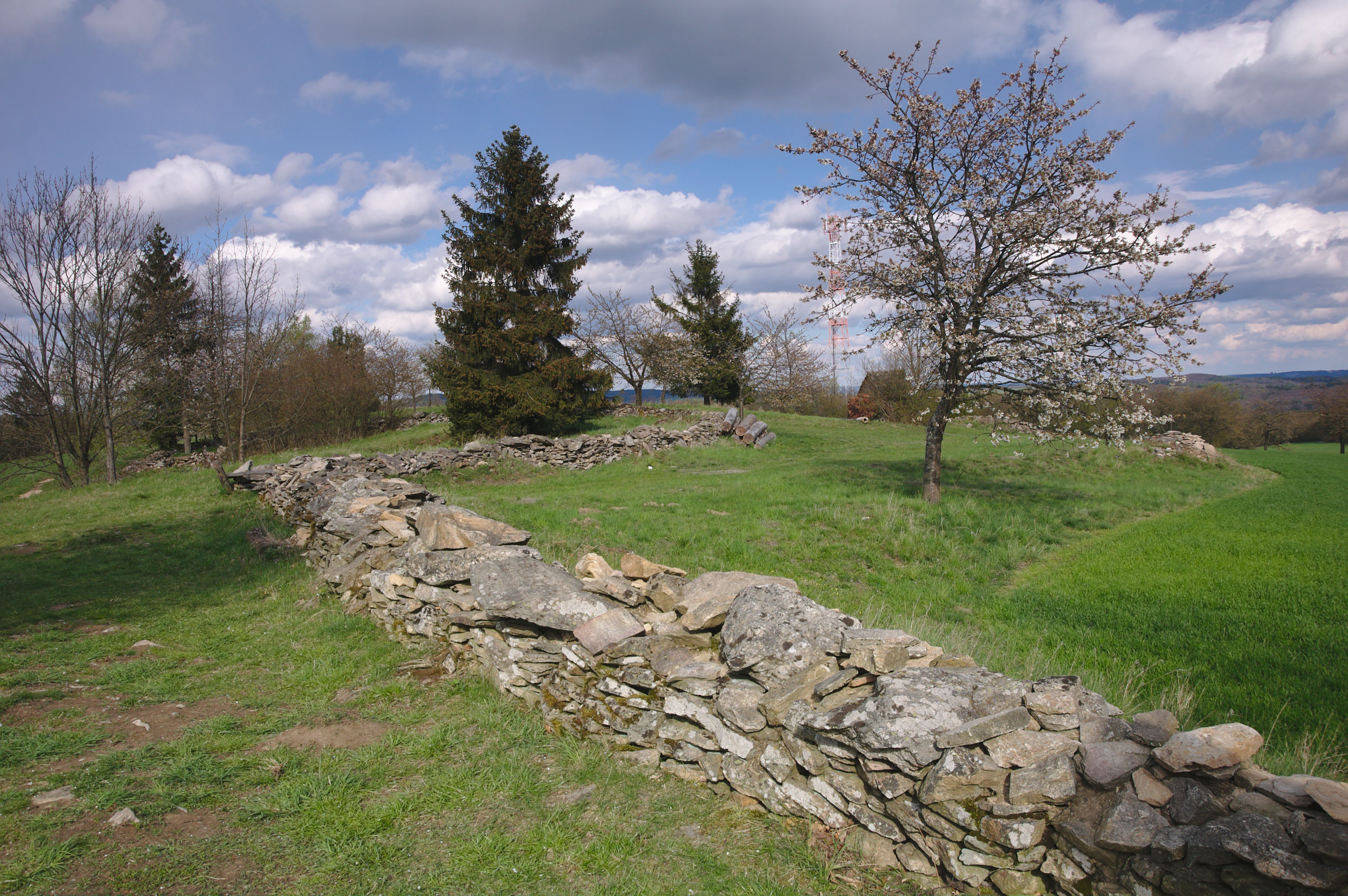 A low stone wall curves across a grassy meadow at the Veselský chlum natural monument, with pine and deciduous trees in the background under a cloudy blue sky.