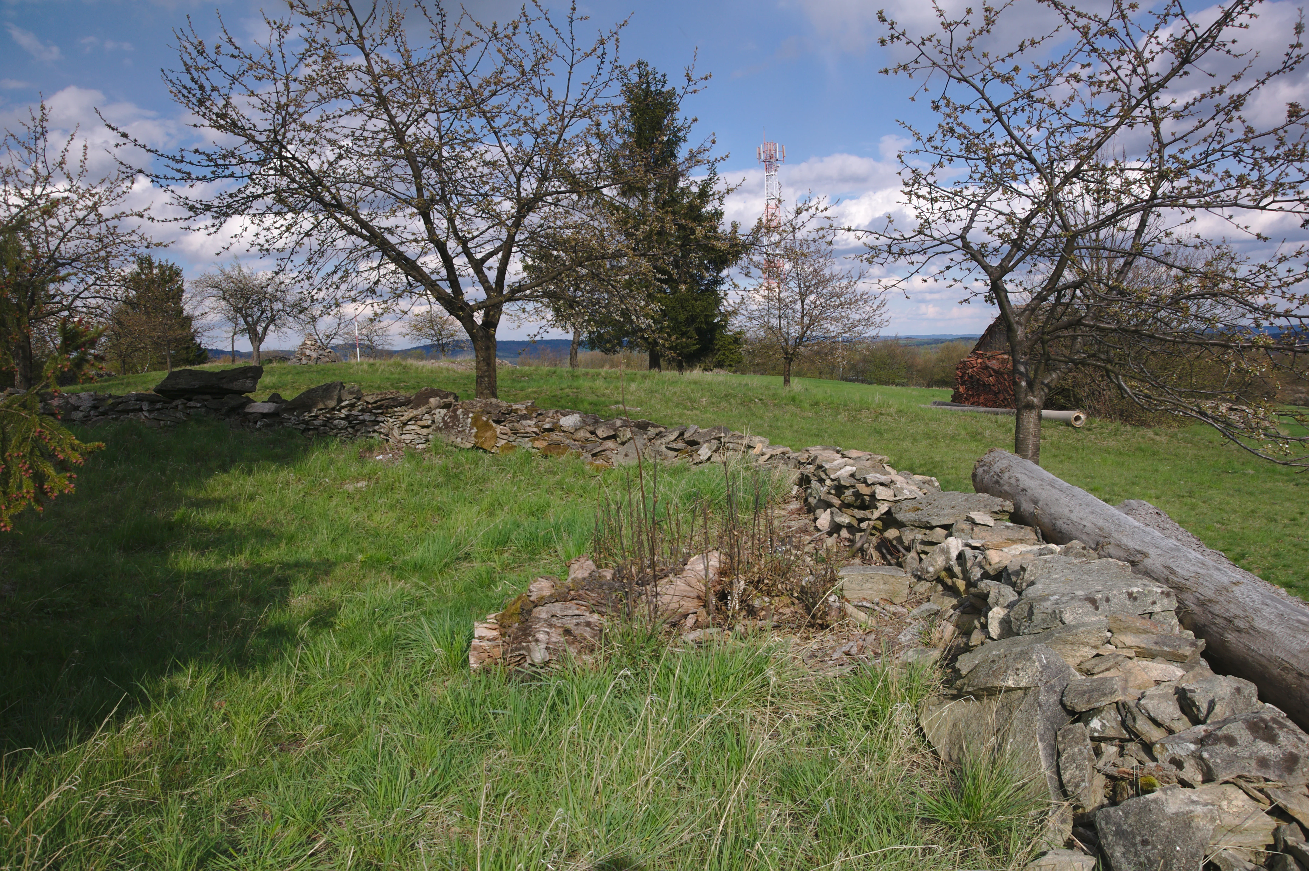 A green hillside meadow in the Czech Republic featuring a dry stone wall, sparse deciduous trees, and an overcast sky.