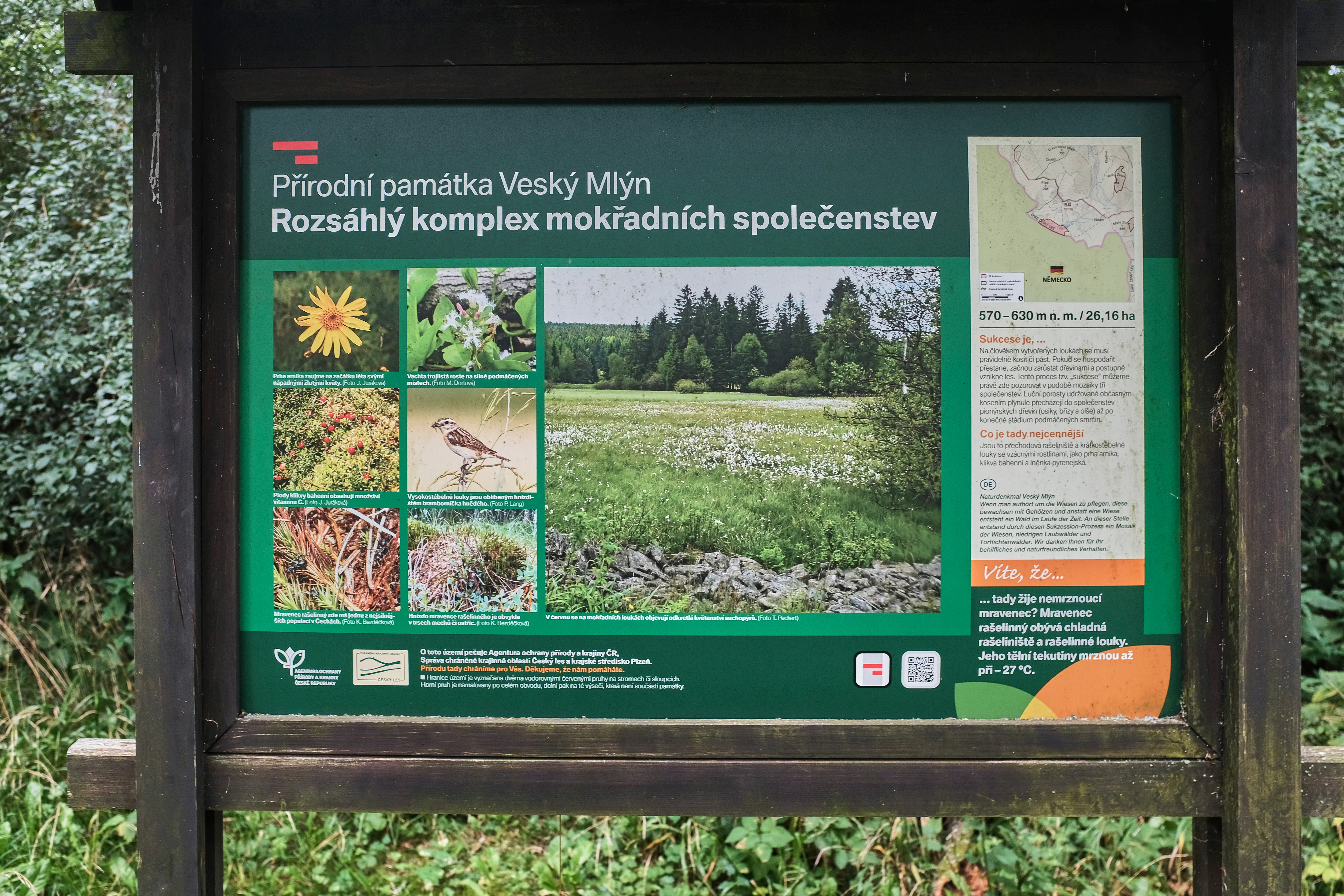 An information panel for the natural monument Veský mlýn located on a wooden frame, featuring a map, text, and several small photographs of local flora and fauna.