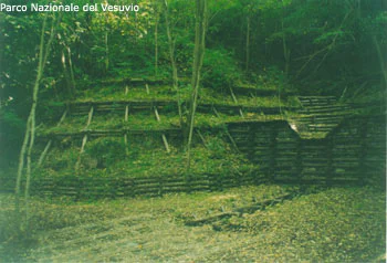 Man-made stone and wooden structure built into a hillside with steps, surrounded by forest vegetation and a gravel path