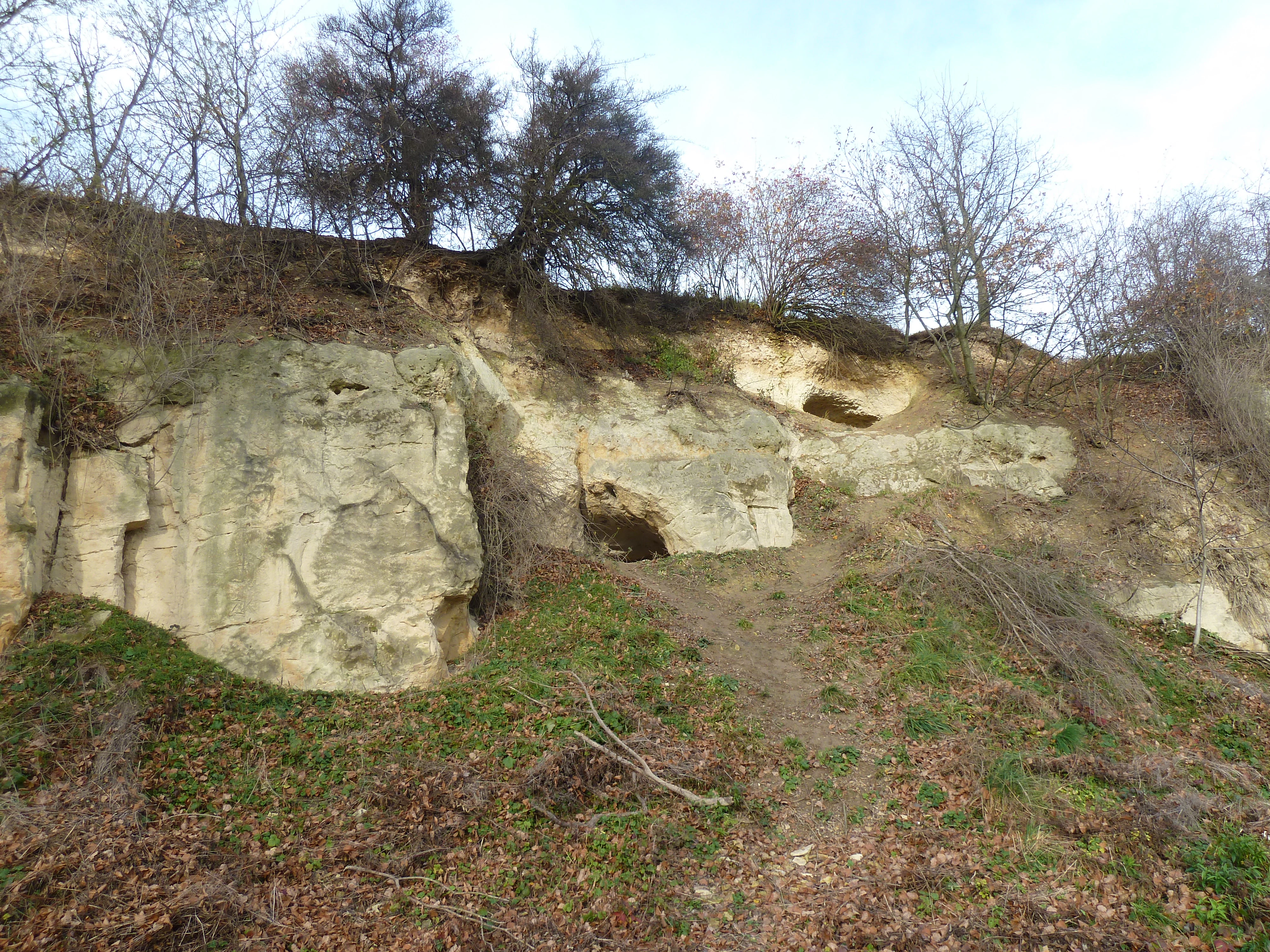 A low angle view of an exposed, light-colored rocky cliff face at Vidoule, with sparse vegetation and bare trees at the top and base.