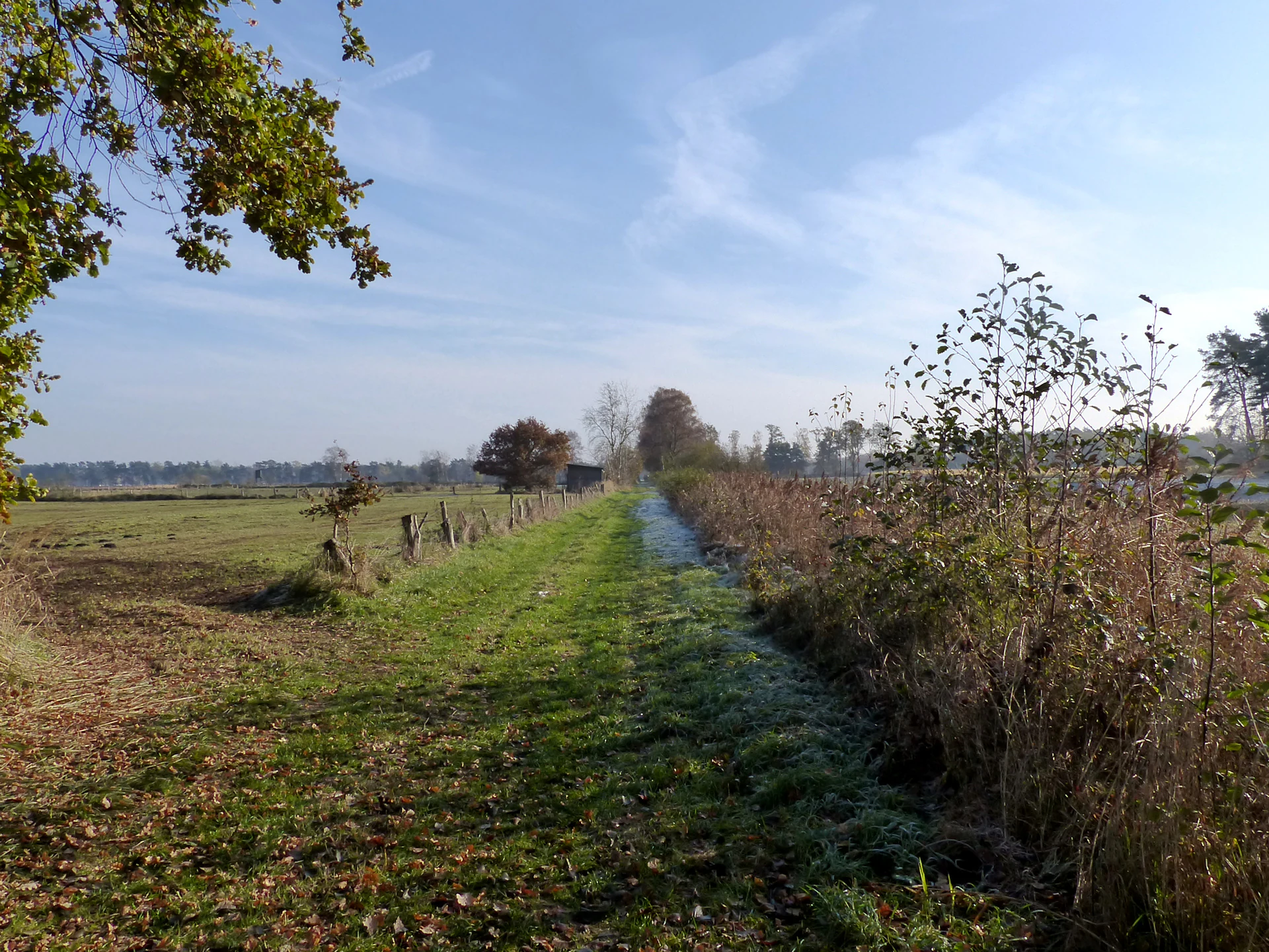 A landscape view of a grassy path beside a drainage ditch in Viehmoor nature reserve, with fields, shrubs, and trees under a clear blue sky.