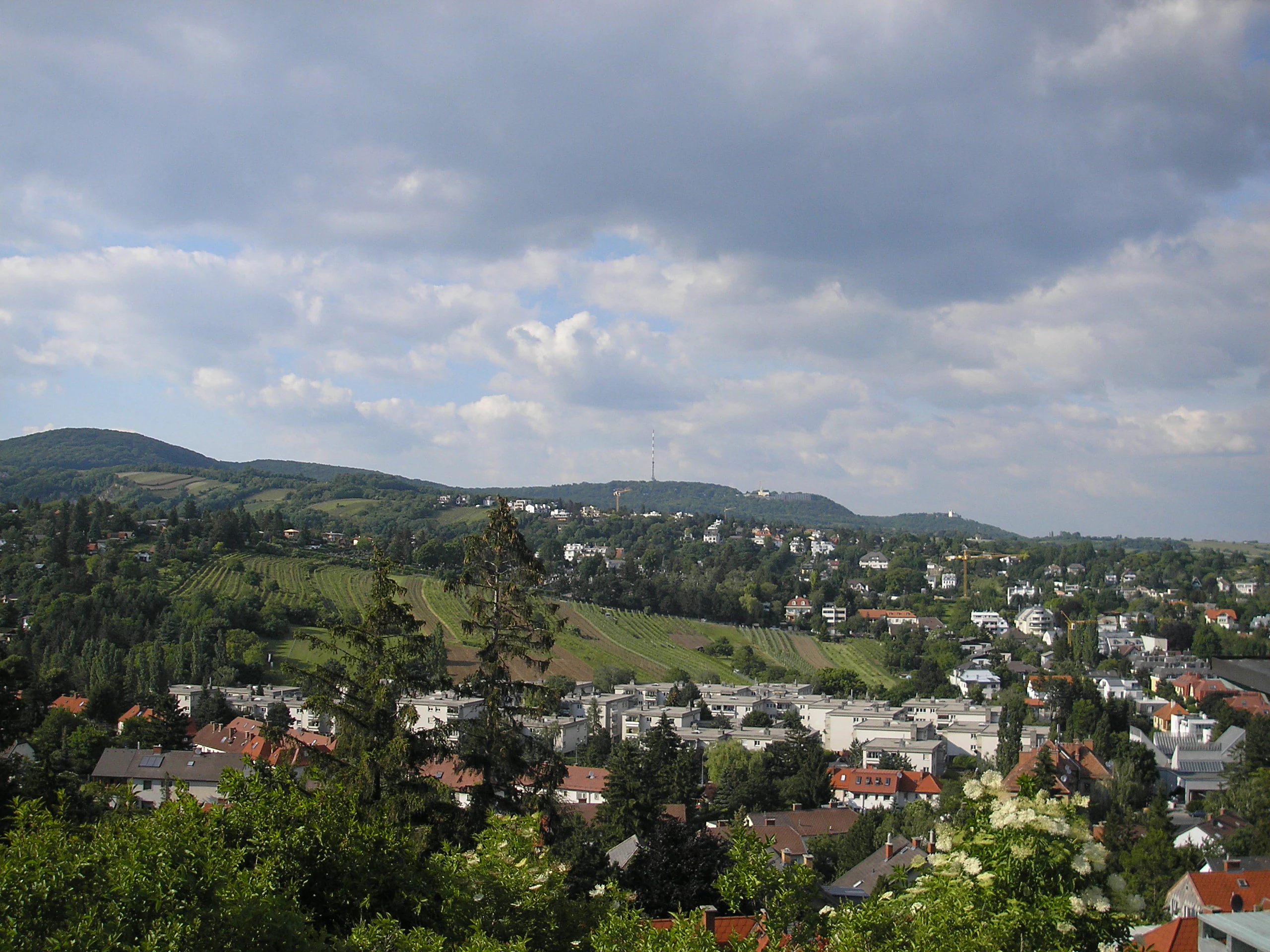 An elevated view looking out over residential buildings in the foreground towards rolling green forested hills under a cloudy sky.