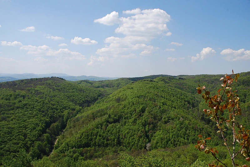 A wide, elevated landscape view of lush, green, rolling forested hills under a blue sky with scattered white clouds.