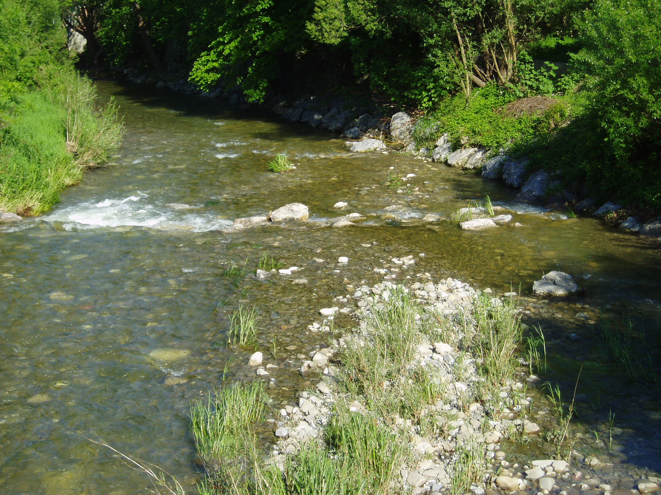 A shallow, clear river flows over a rocky riverbed with grassy banks and lush green trees in the background.