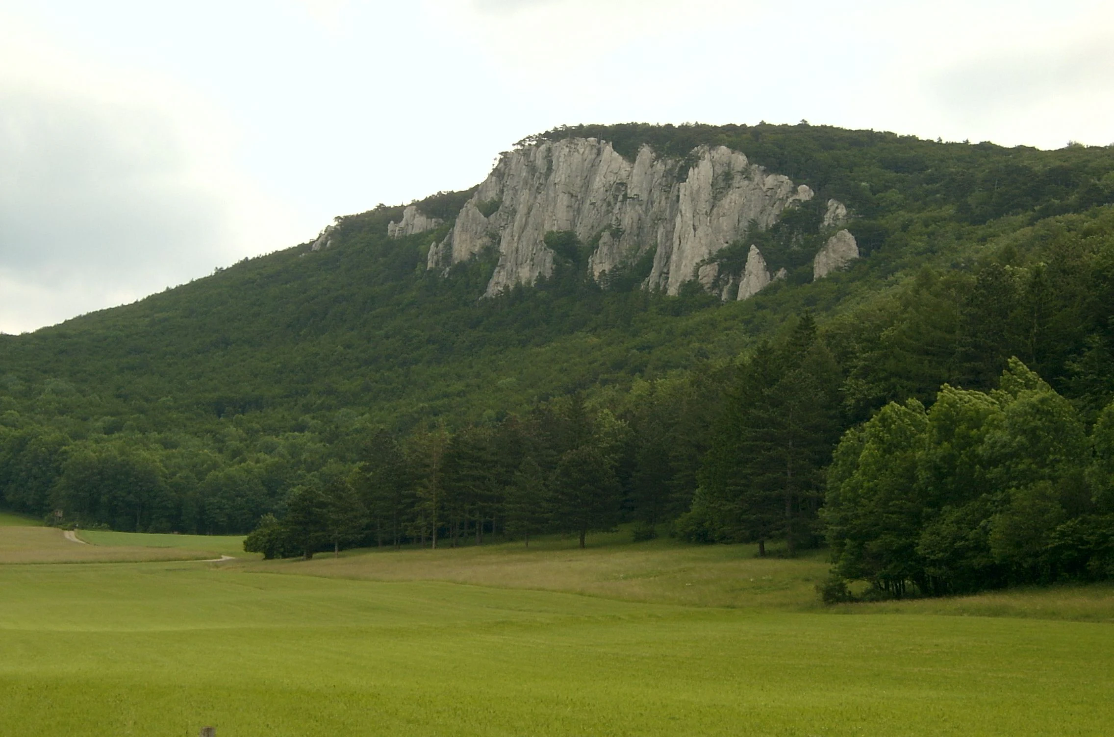 A wide shot of a forested hill featuring a prominent white limestone rock face at its summit, with a green grassy field in the foreground.