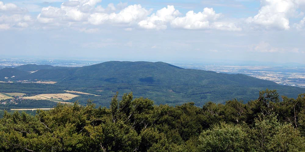A distant, rounded, forested mountain stands against a blue sky with white clouds, viewed from an elevated position overlooking a valley.