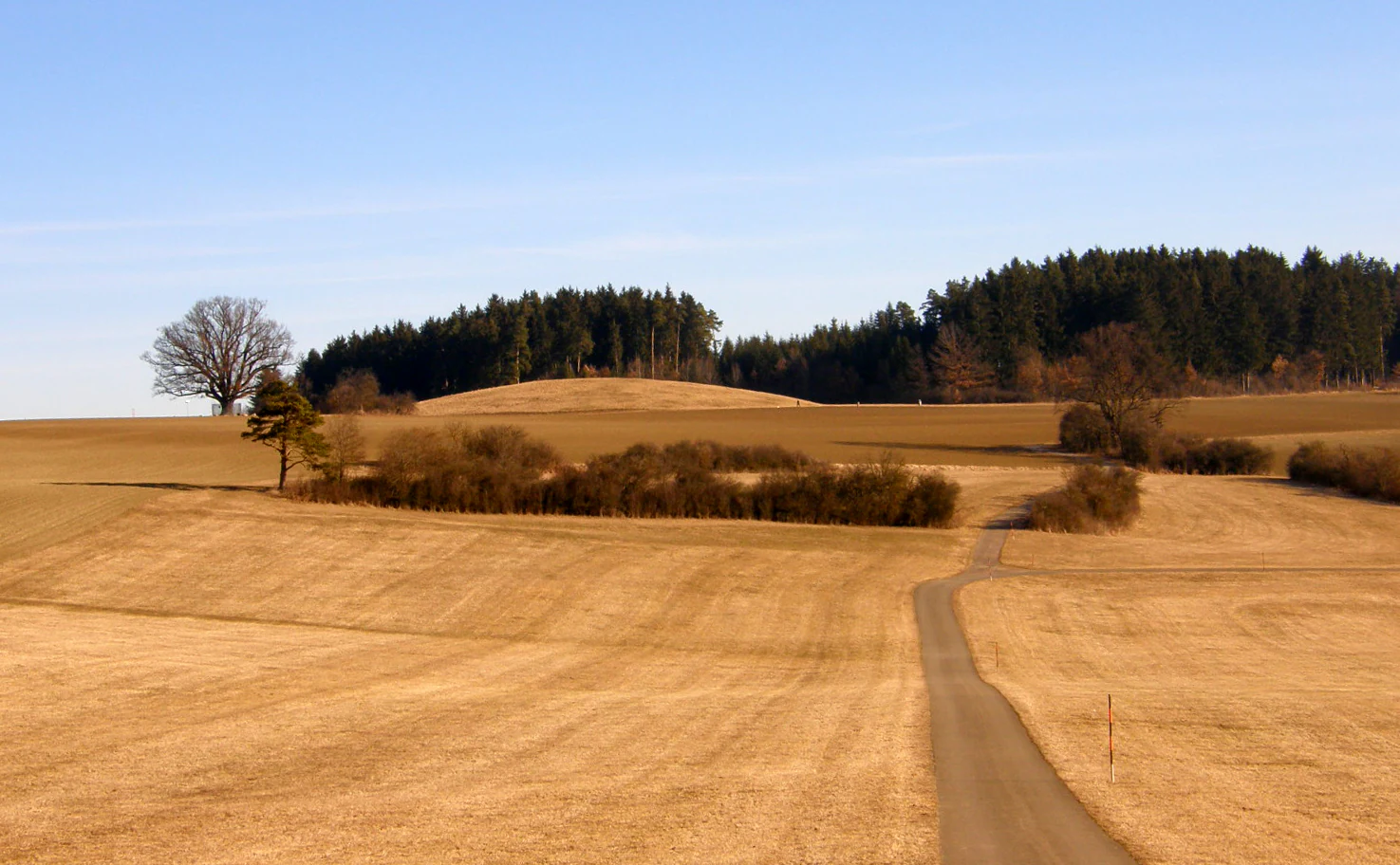 A wide view of a gentle, grassy mound rising above golden fields under a clear blue sky, with a forest line in the background and a paved path leading toward the mound.