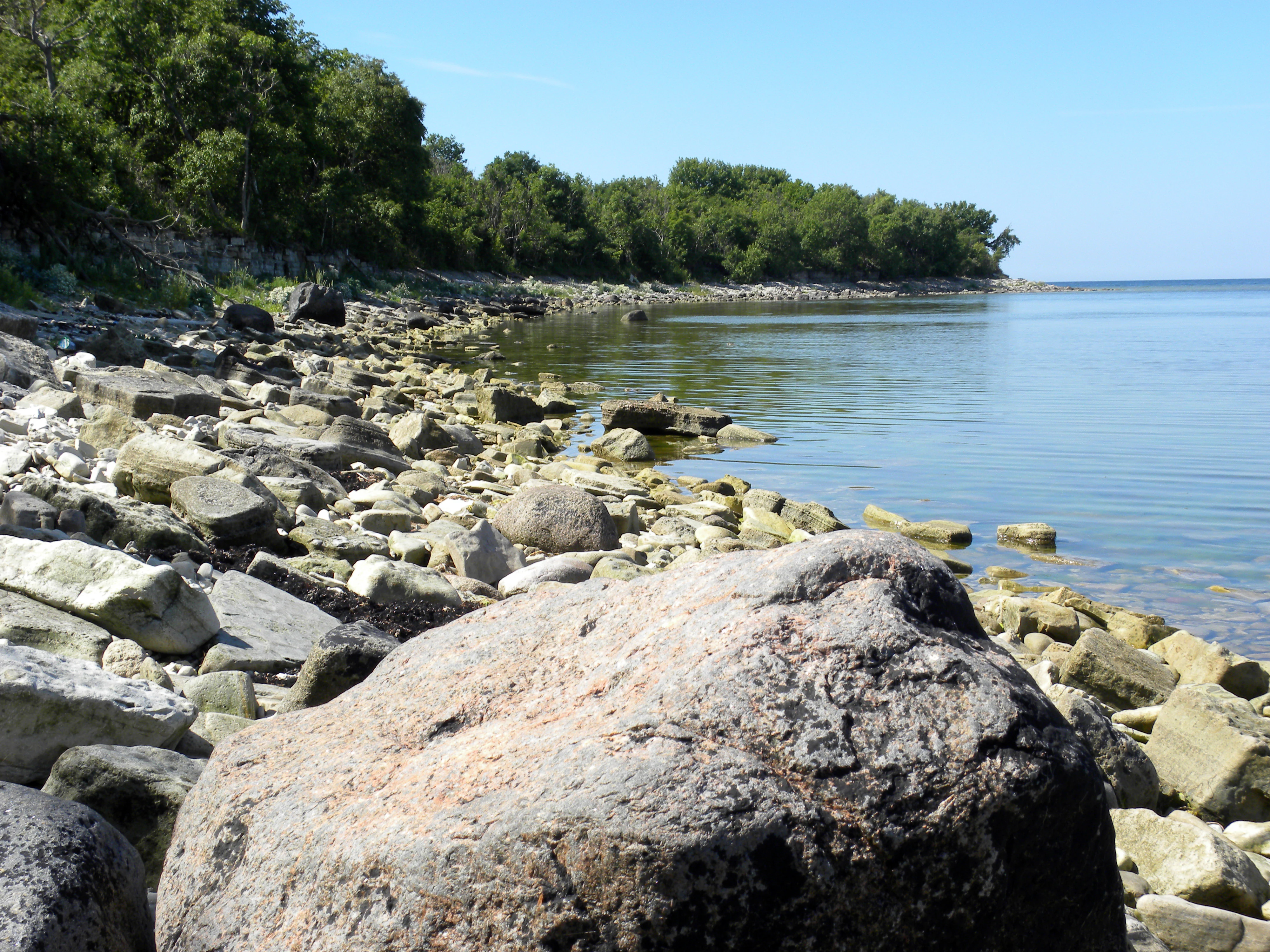 Rocky shoreline with large boulders, calm water, and forested coastline under clear blue sky