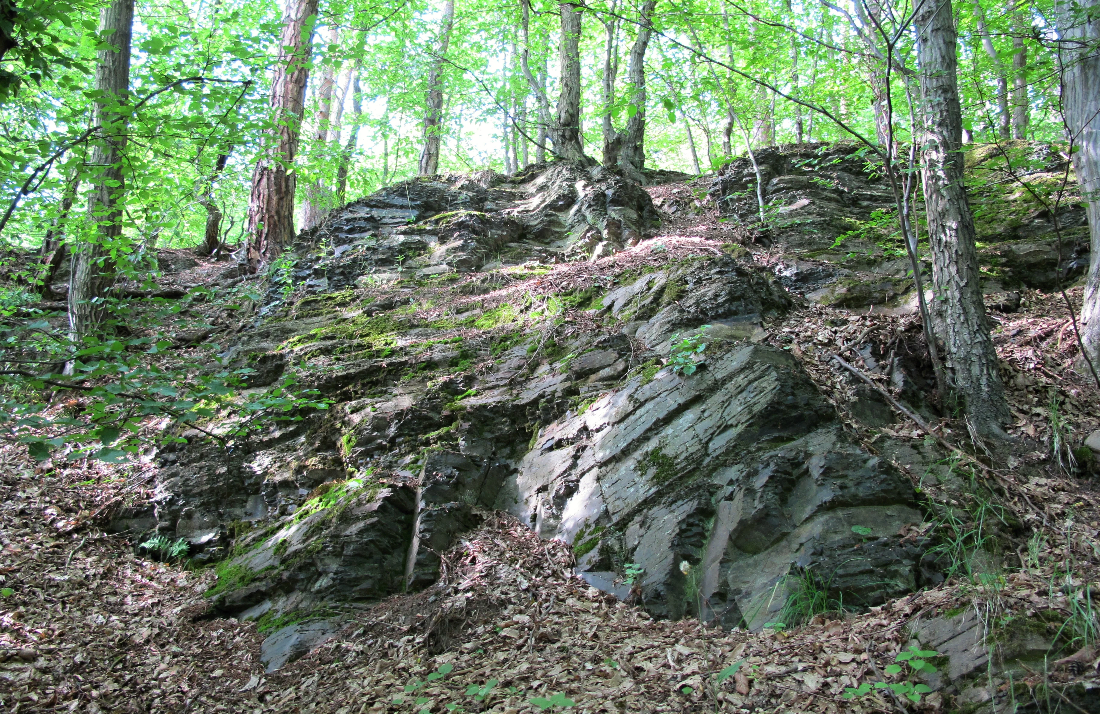 Una vista de afloramientos rocosos oscuros y estratificados rodeados de un bosque caducifolio, con el suelo del bosque cubierto de hojas caídas.