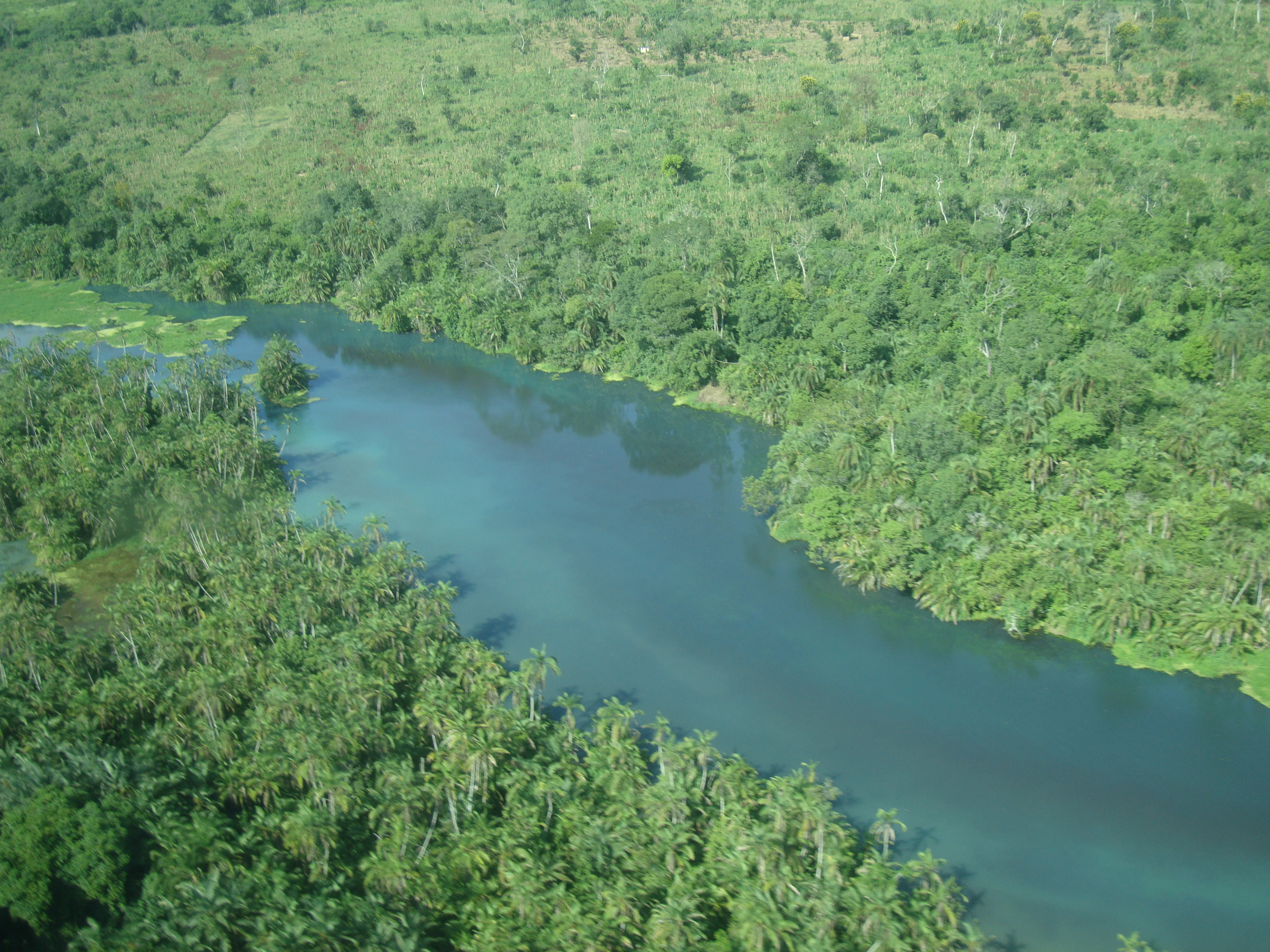 Vista aérea de un río que fluye a través de una densa selva tropical con exuberante vegetación verde