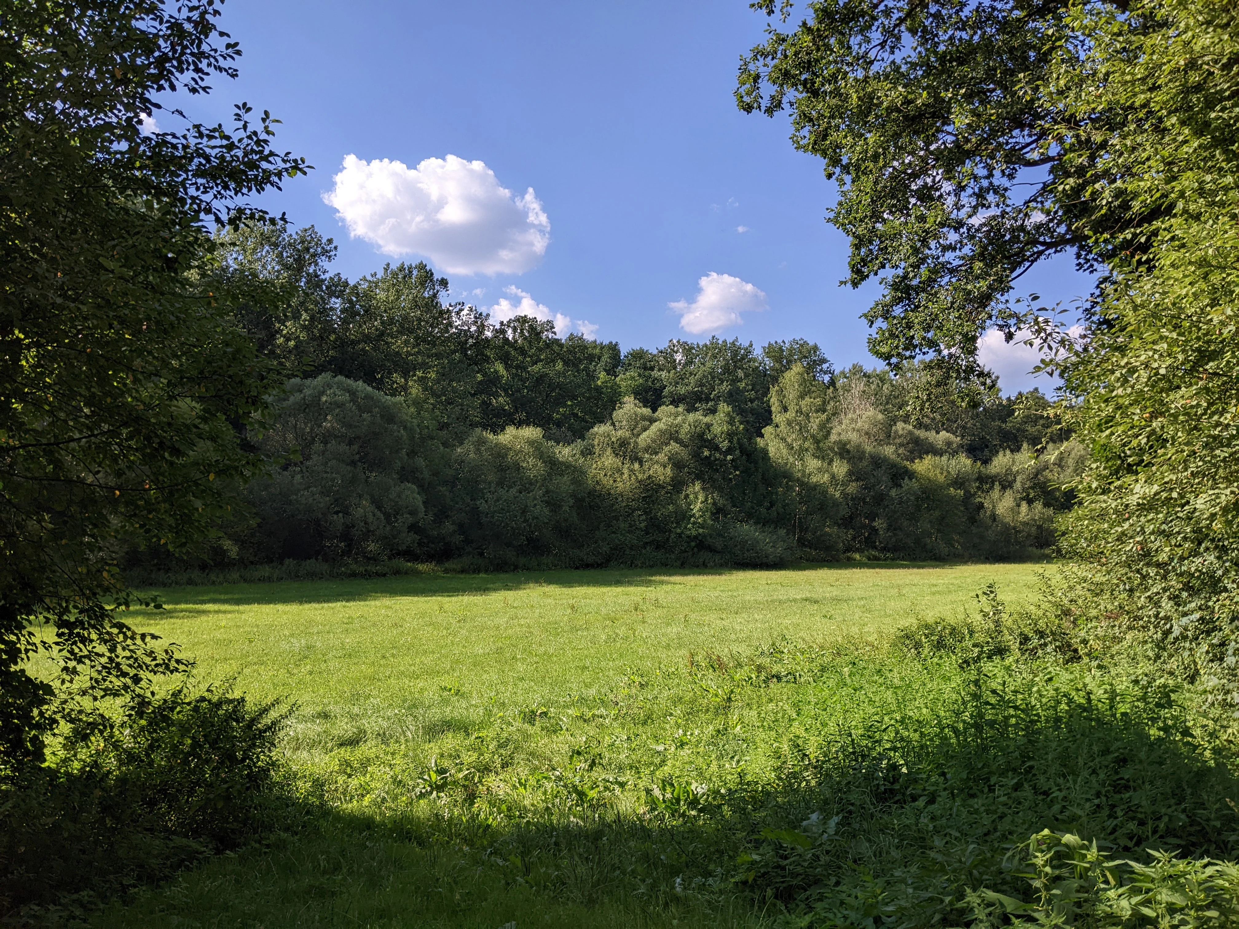 A wide, sunny meadow framed by leafy trees under a clear blue sky with light clouds, characteristic of the Blanice river valley.