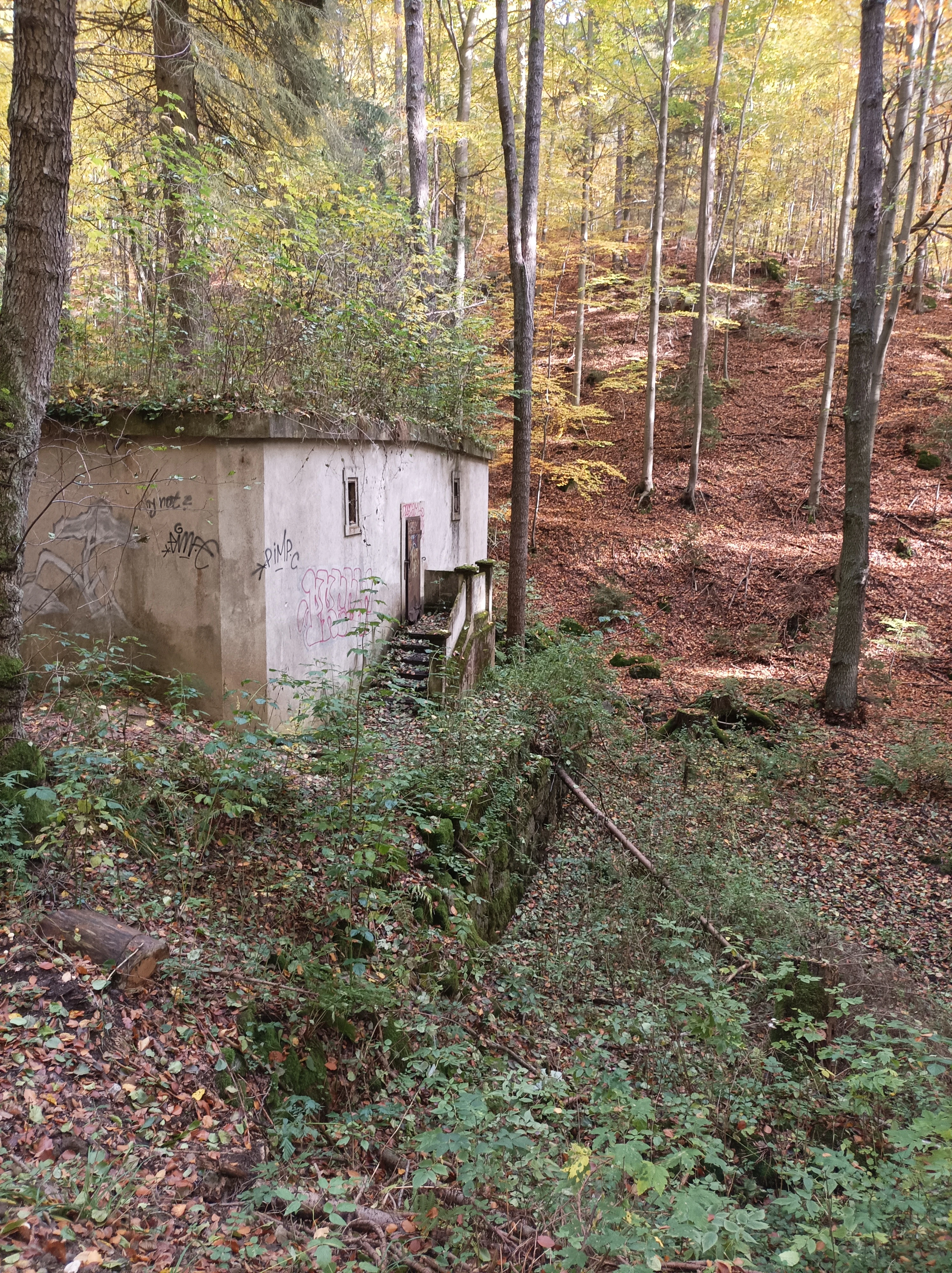 A weathered concrete building, likely a former waterworks facility, partially covered in vegetation and marked with graffiti, situated in a wooded area with autumn foliage.