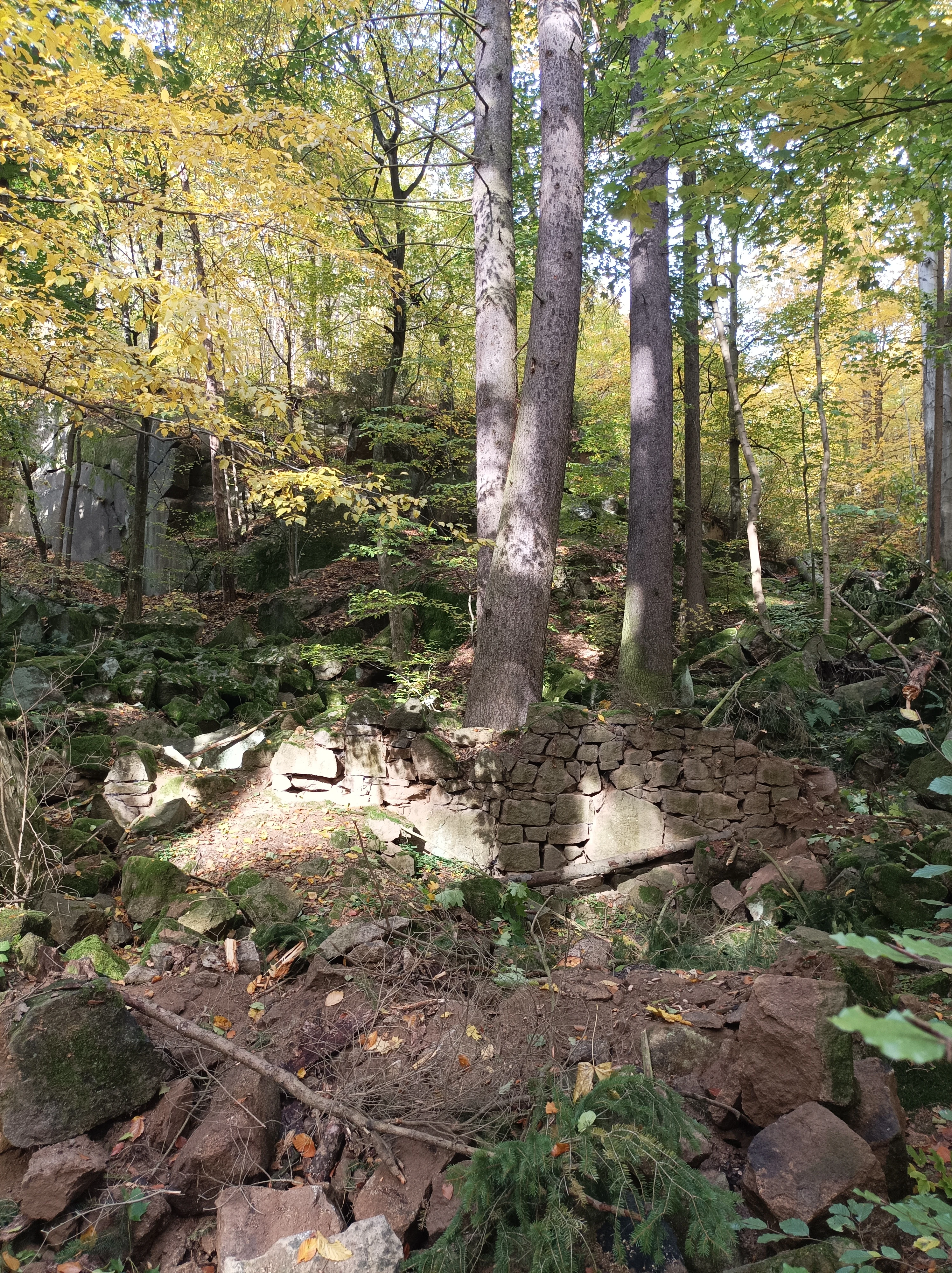 Low stone wall ruins set among mossy boulders and tall trees in an autumn forest.