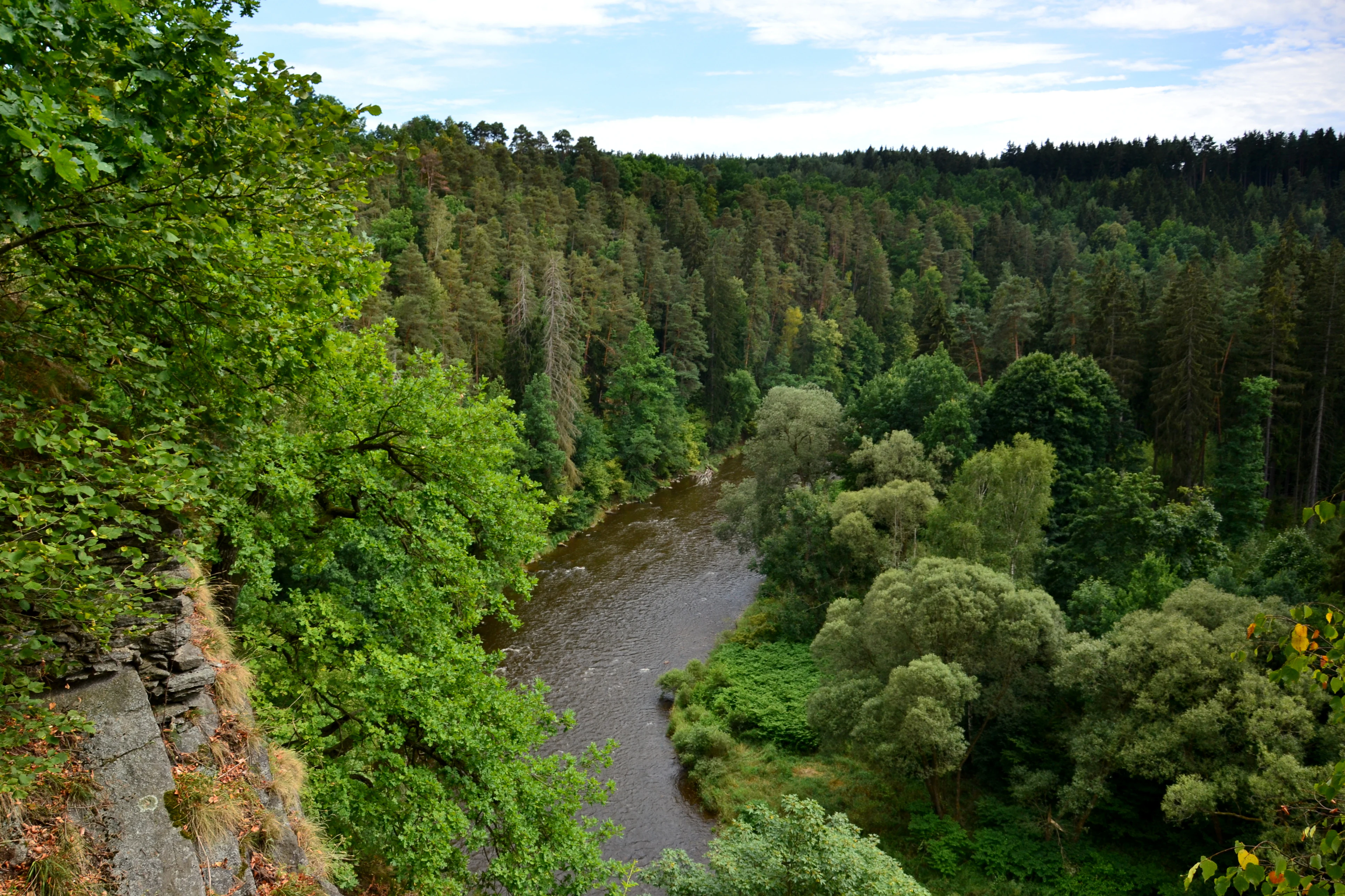 A high-angle view looking down into a forested river valley with a winding river surrounded by dense green trees and a rocky outcropping in the immediate foreground.