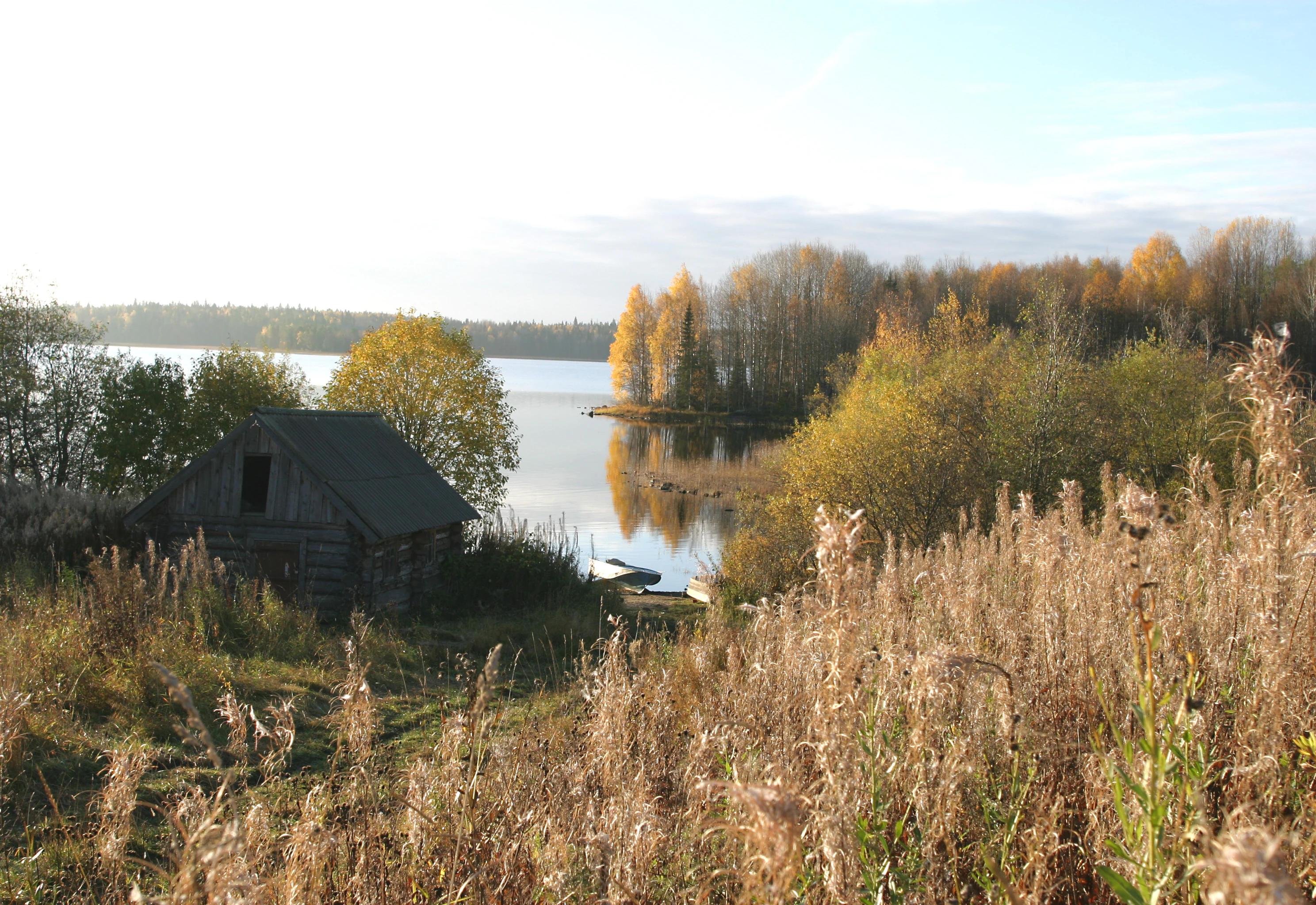 Wooden cabin on a grassy hillside overlooking a lake with autumn-colored trees and tall grasses in the foreground
