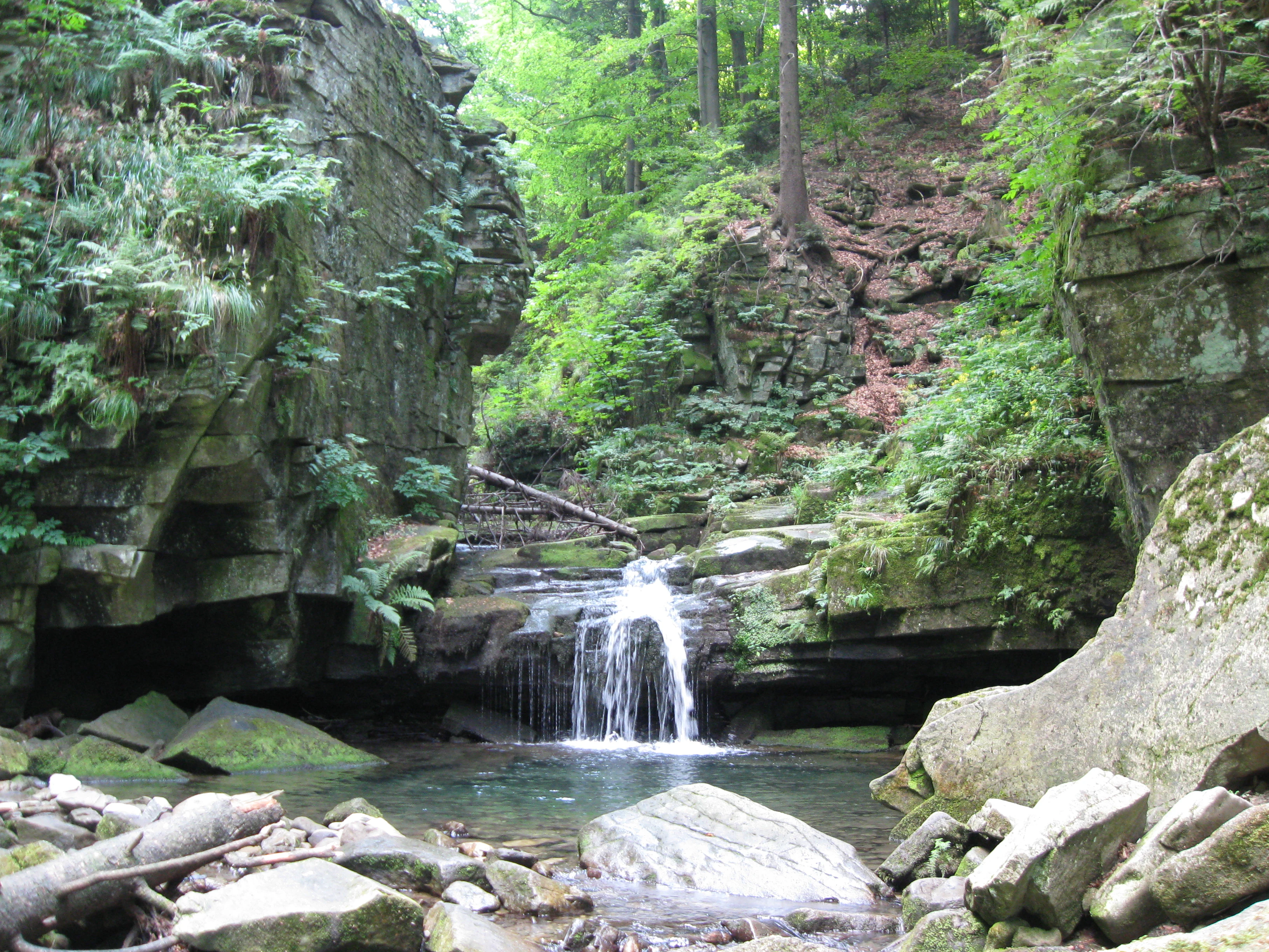 A small waterfall cascades over layered rock formations into a clear stream, surrounded by lush green forest and rocky cliffs.