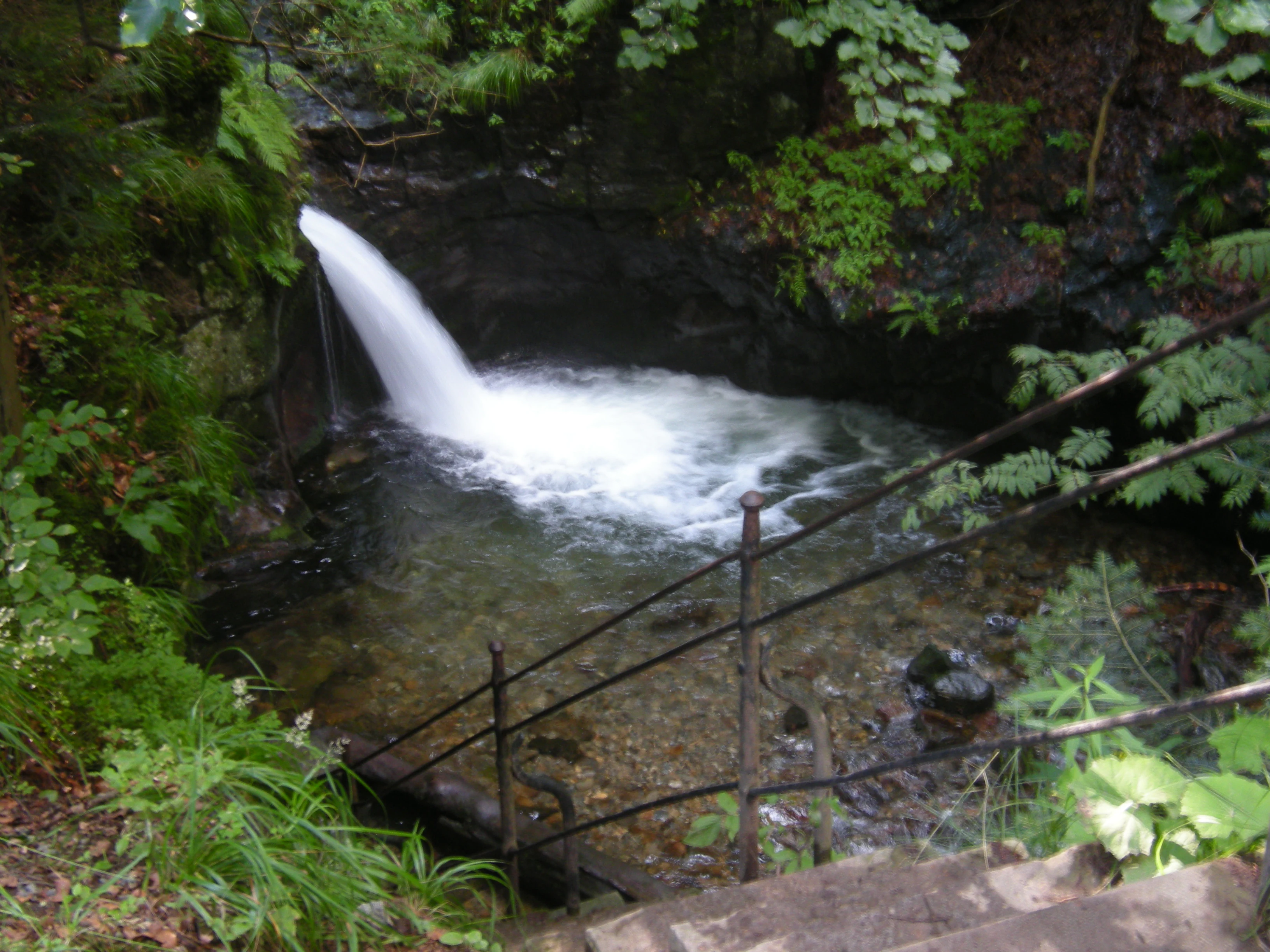 A small waterfall flows into a clear pool surrounded by lush green forest, with a metal railing visible in the foreground.