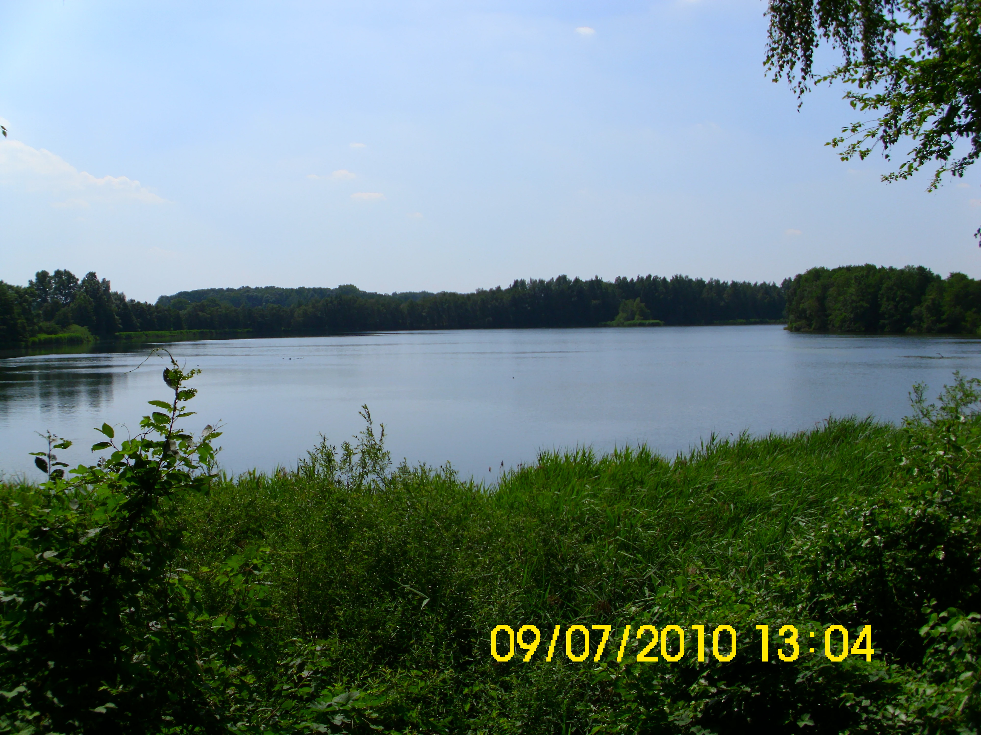 A calm lake viewed from a grassy, brush-covered bank, with a dense forest line on the far shore under a clear sky.