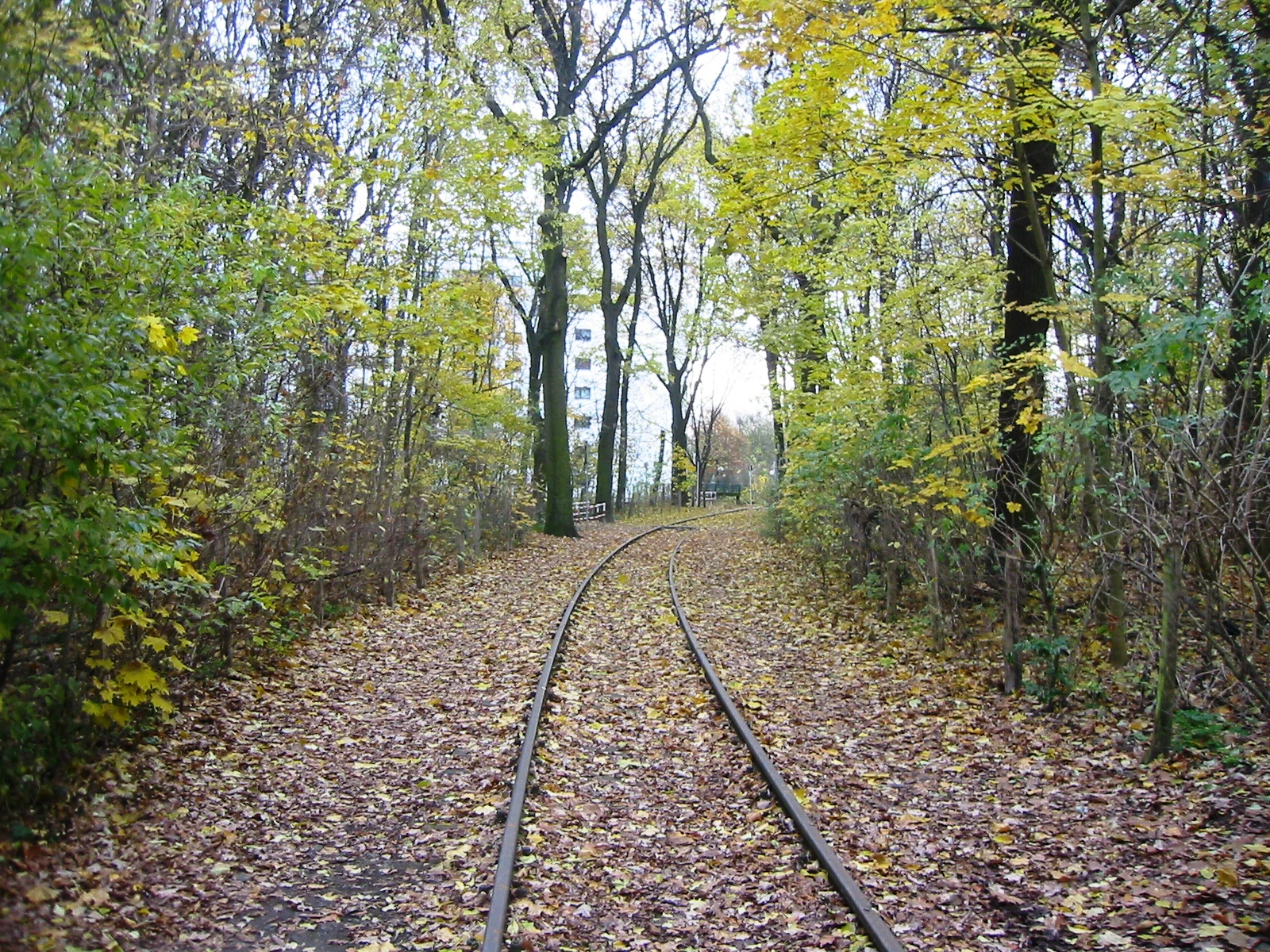 A disused railway track covered in fallen autumn leaves, winding into a forest area with tall trees and glimpses of a residential building in the distance.