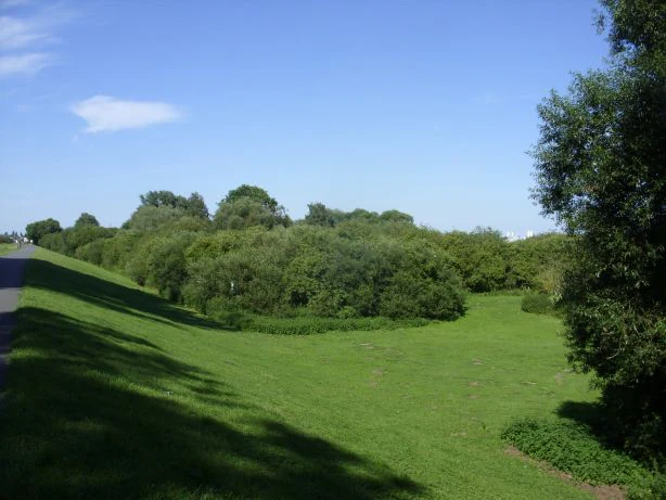 A wide view of a grassy meadow sloping down from an embankment toward dense green trees and shrubs under a clear blue sky.