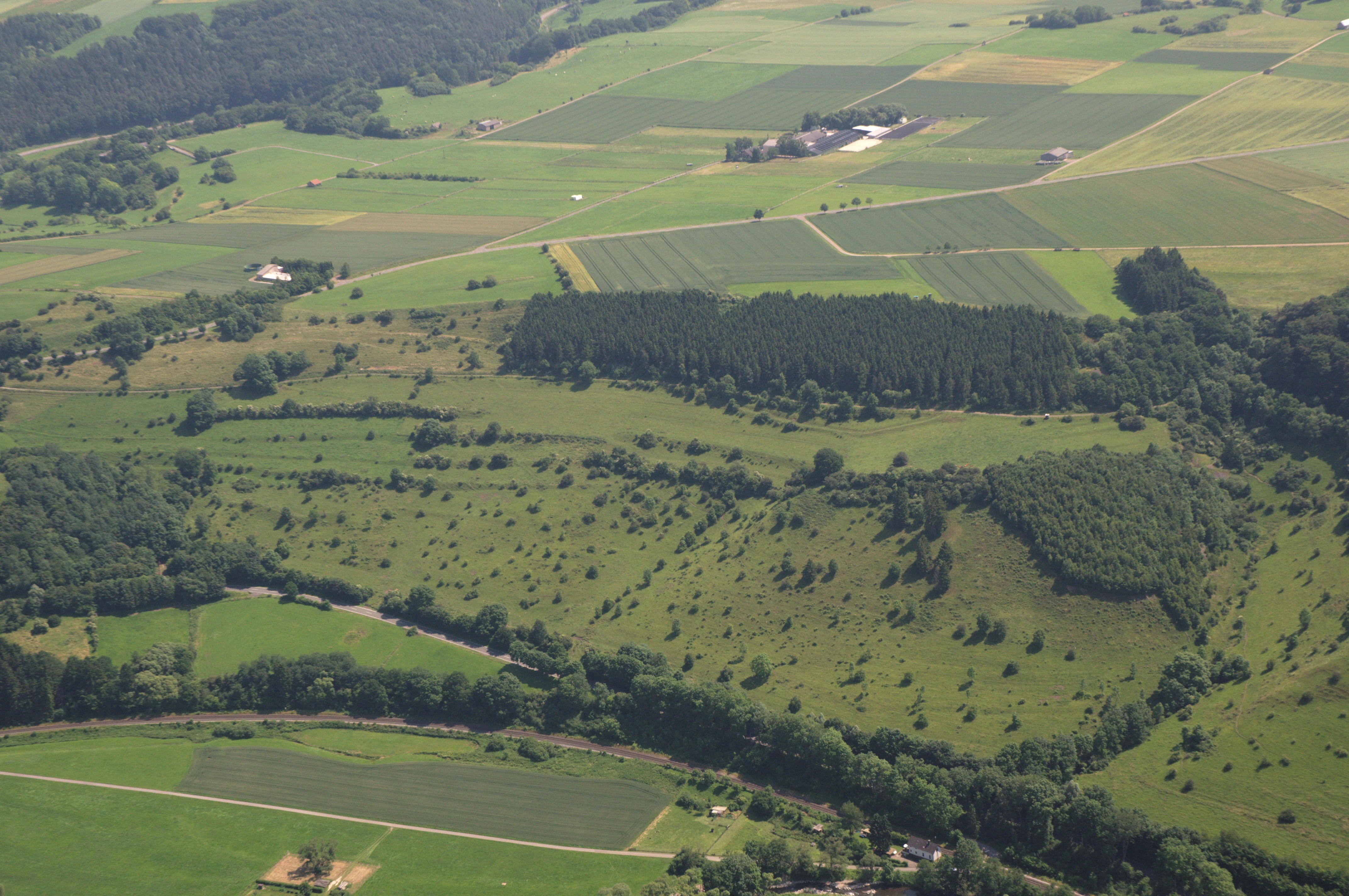 Vista aérea de un paisaje con colinas verdes onduladas, árboles dispersos, parches de bosque y campos agrícolas en la región de Sauerland, en Alemania.