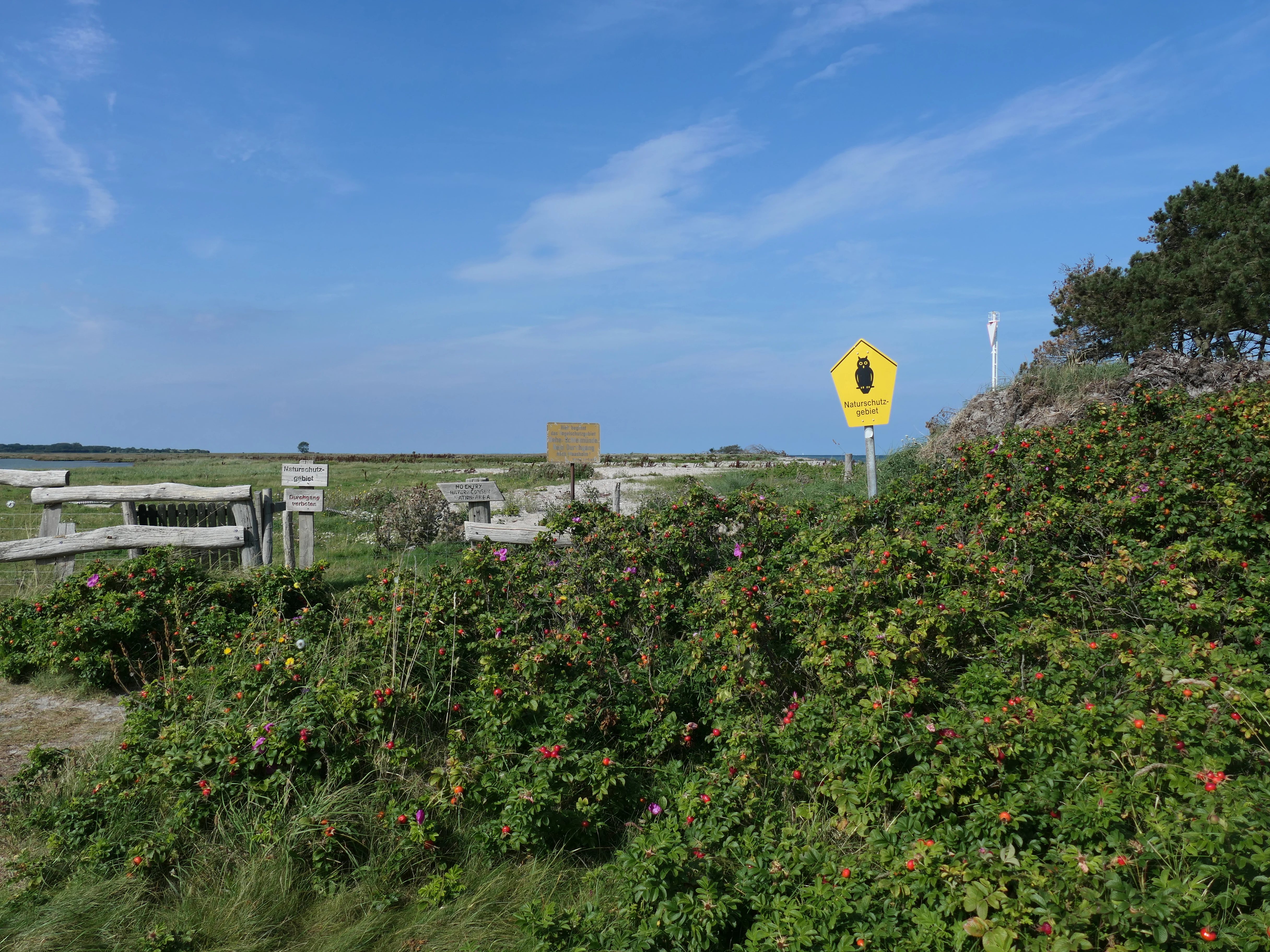 A yellow, pentagonal sign with a black symbol of a bird stands amidst low-lying coastal vegetation and shrubs, with a wooden fence and a flat, grassy landscape visible in the background under a blue sky.