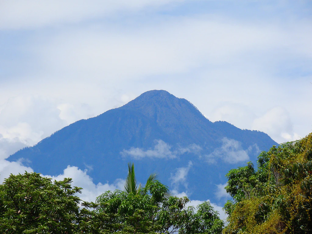 A large stratovolcano peak partially obscured by clouds, framed by green trees in the foreground.
