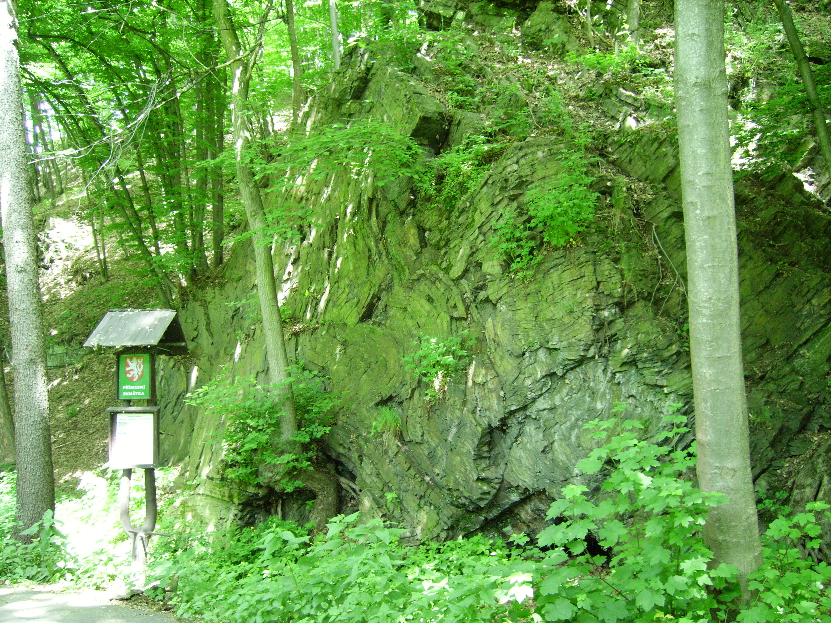 A large, dark rock outcrop with visible geological folding, partially obscured by green trees and forest vegetation, with a park information sign on a post in the foreground.