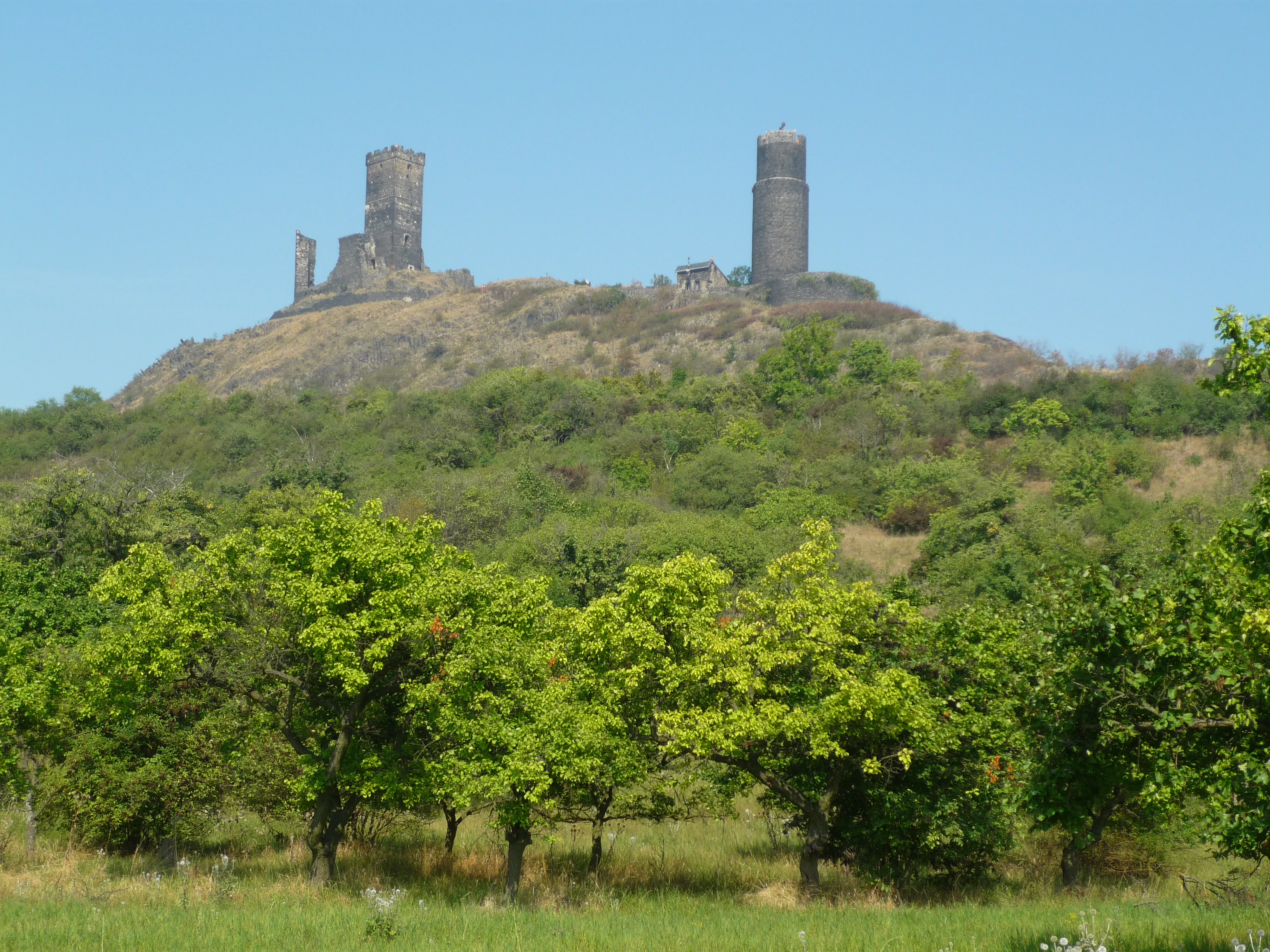 A sunny view looking up at the medieval stone ruins of Hazmburk Castle, which feature a tall tower and crumbling walls, crowning a green hill covered in trees and shrubs.