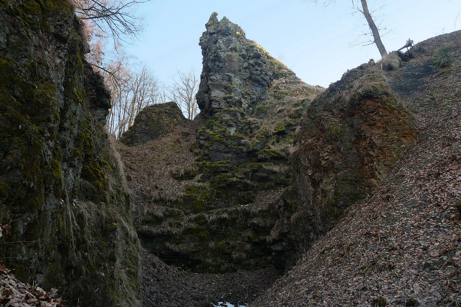 A steep, craggy dark volcanic rock formation rising above a forest floor with deciduous trees and leaf litter.