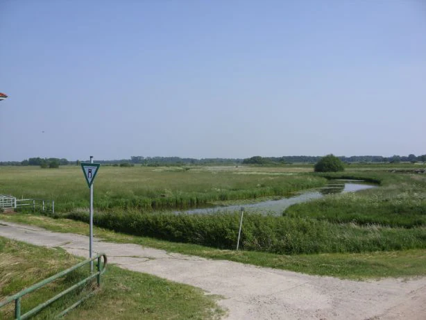 A wide view of a grassy wetland area with a winding narrow stream and a dirt path in the foreground.